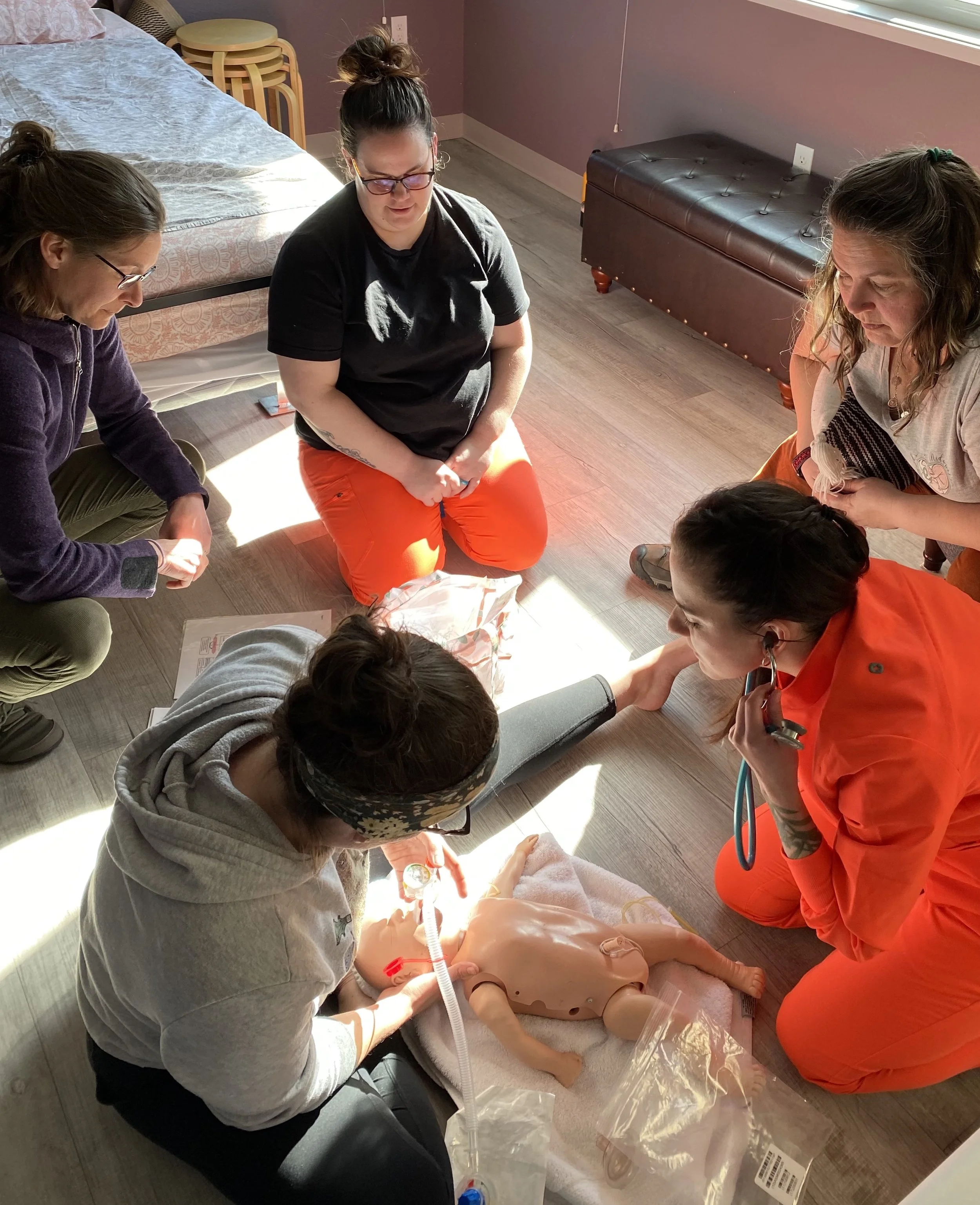 Midwifery Led Resuscitation Untethered-Astoria Oregon January 18th, 2026 0900-1700
