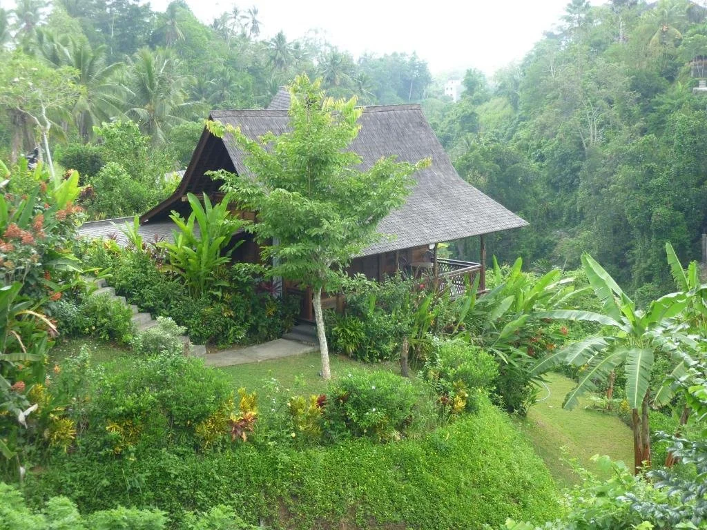 A traditional wooden house with a steep thatched roof surrounded by lush tropical greenery and trees on a hillside.