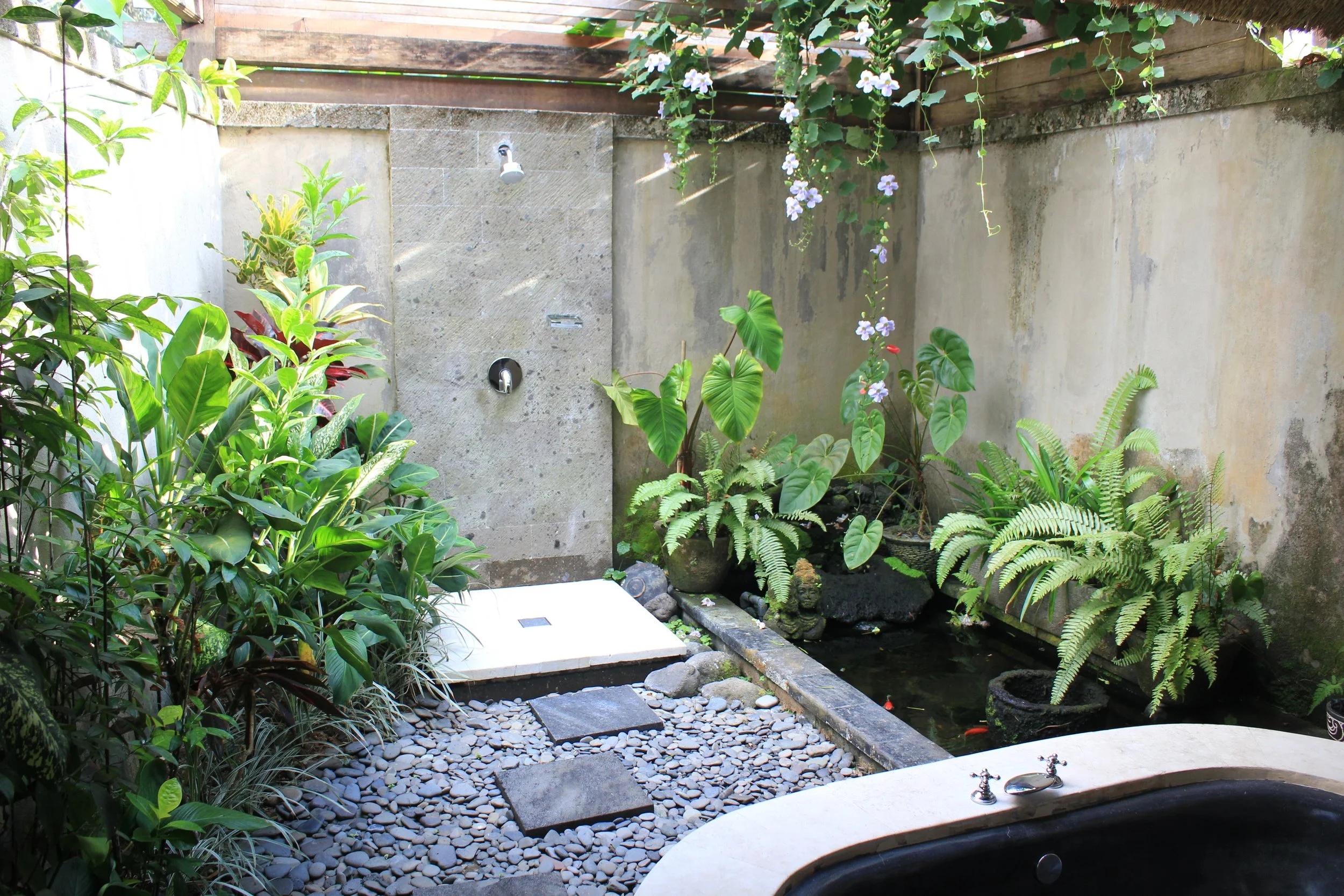 Outdoor garden with small pond, lush green plants, and a concrete wall. There is a showerhead, a faucet above a small tiled area, and a bathtub edge visible in the foreground.