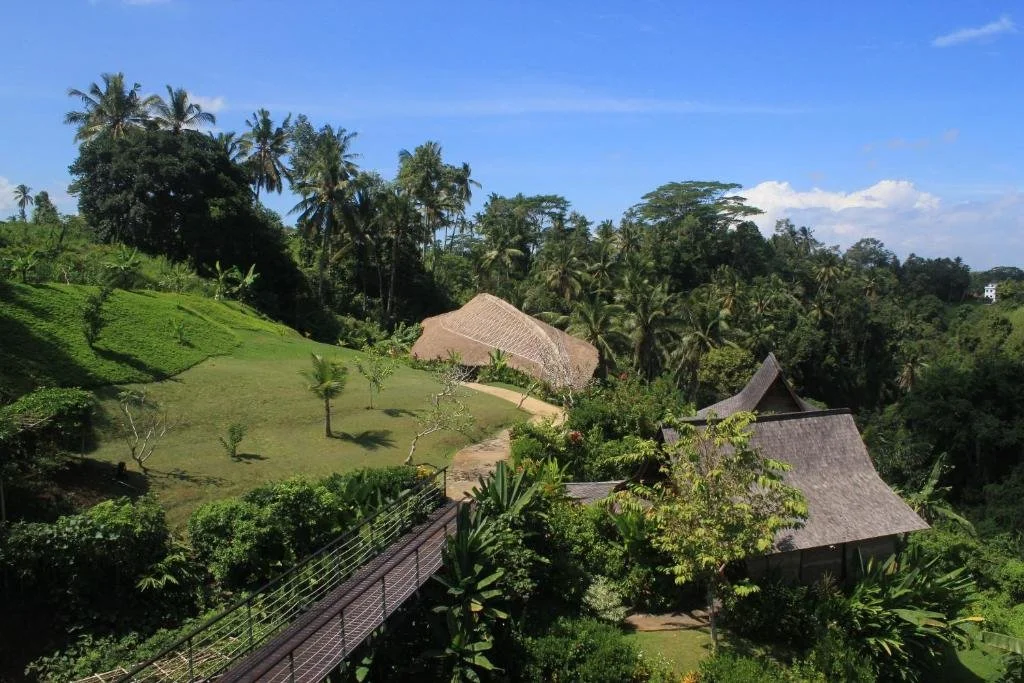 Lush green landscape with palm trees, a wooden bridge, and traditional thatched-roof structures surrounded by dense tropical vegetation.