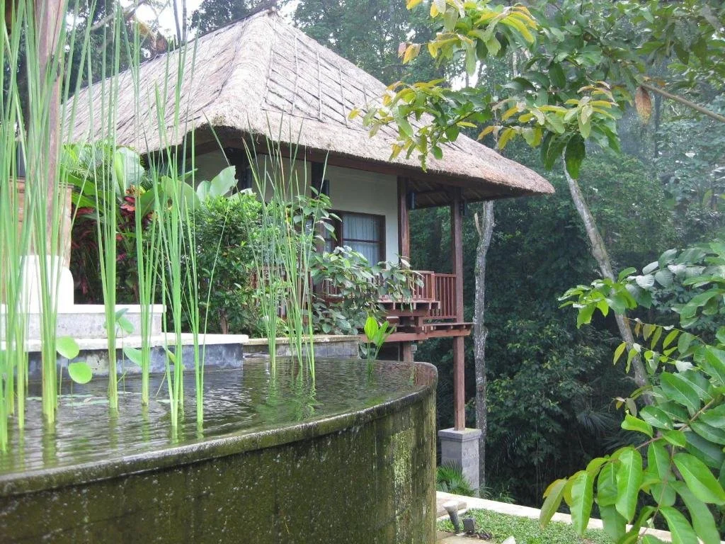 A tropical bungalow with a thatched roof surrounded by lush green trees and plants, featuring a small balcony and a water feature in the foreground.