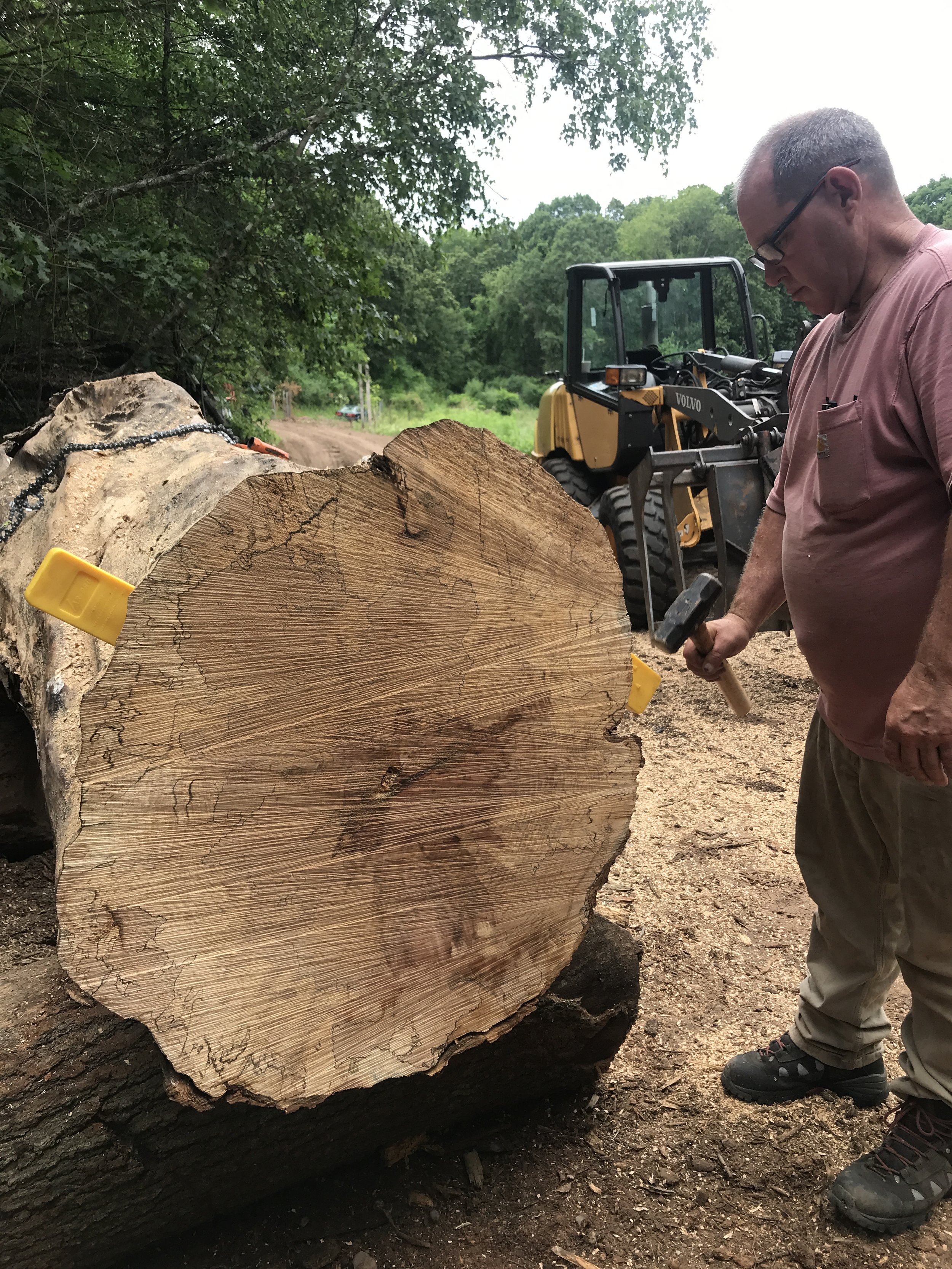 Spalted Maple 01c.jpg