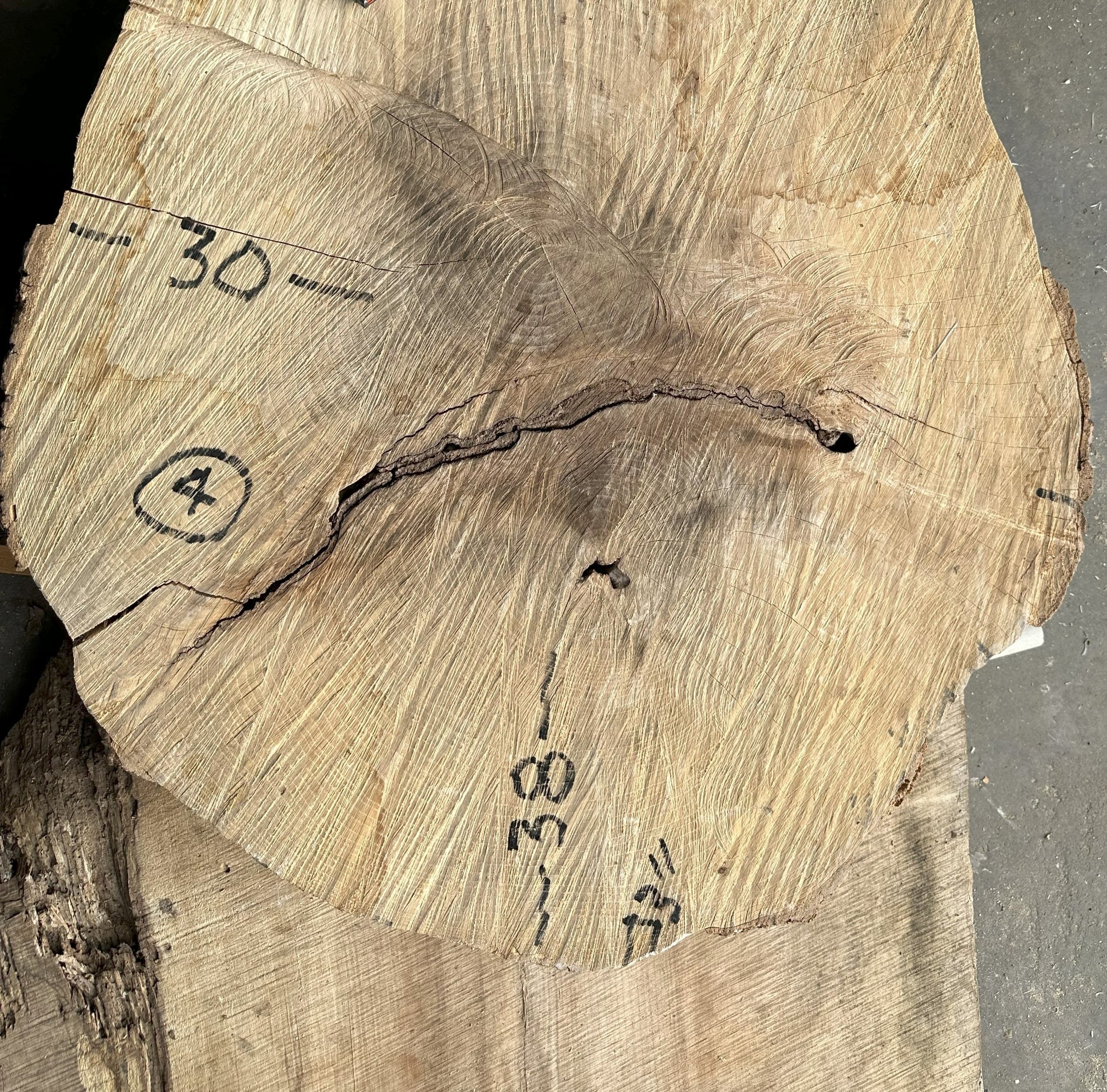 Ash 01.jpg