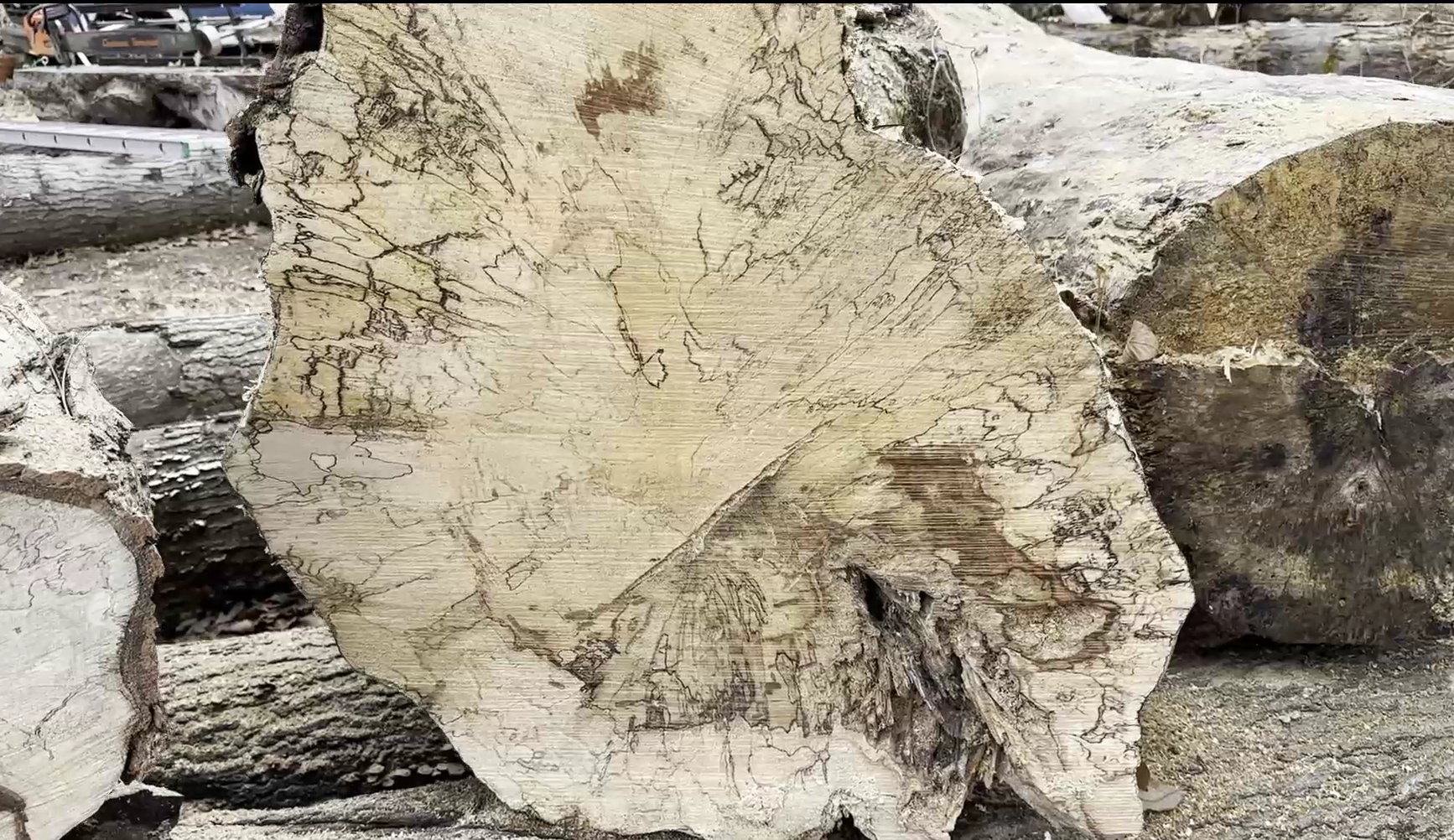 Gnarly Spalted Maple Stump Cookies (9).png