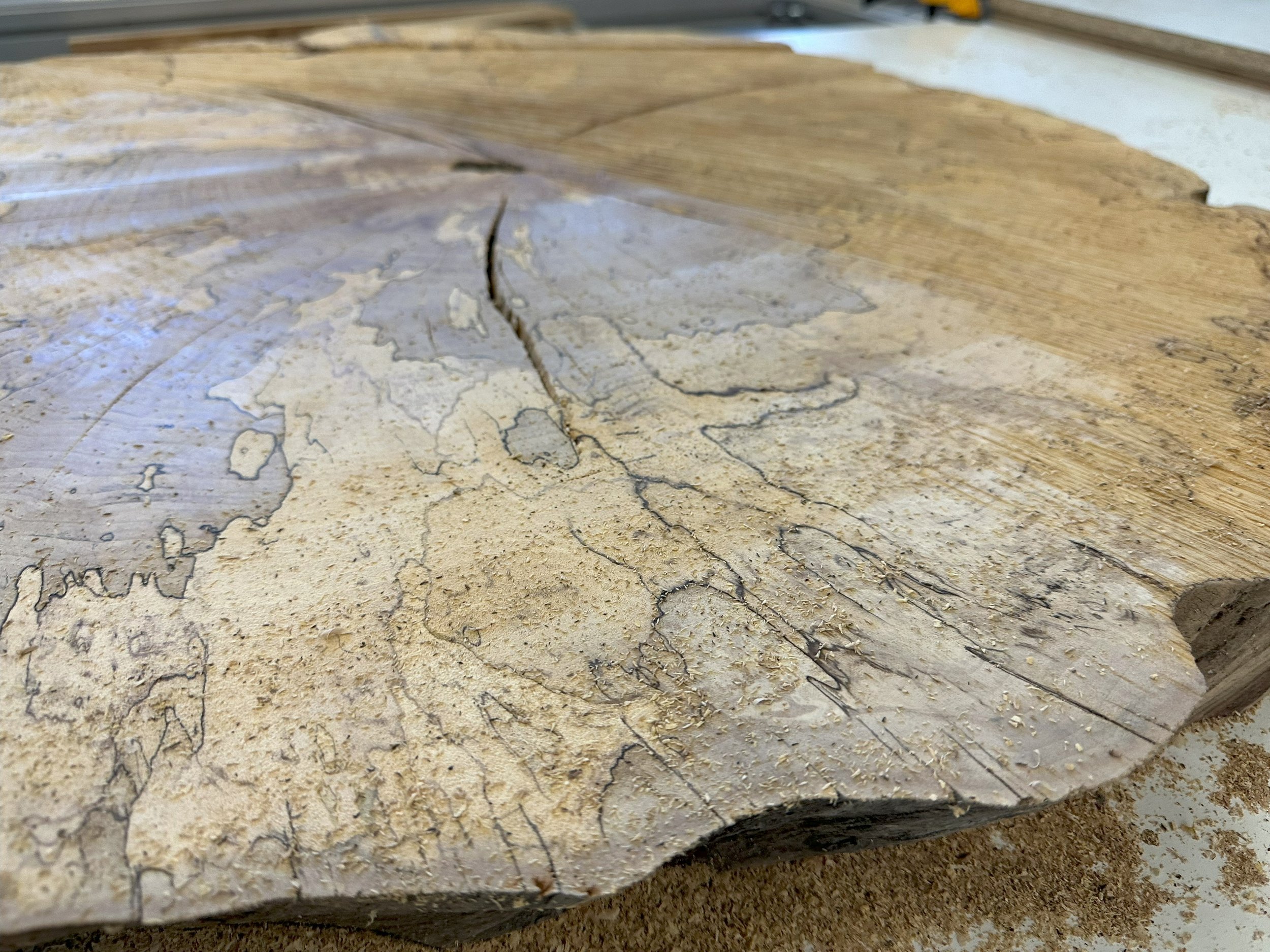 Spalted Maple 09.jpg