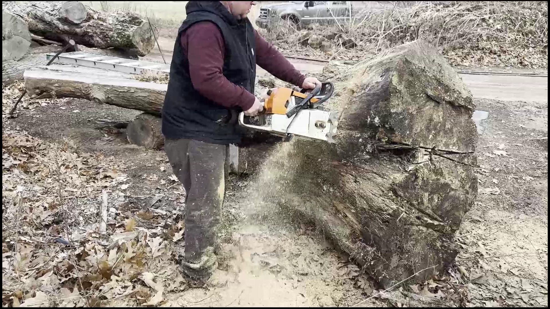 Gnarly Spalted Maple Stump Cookies (1).png