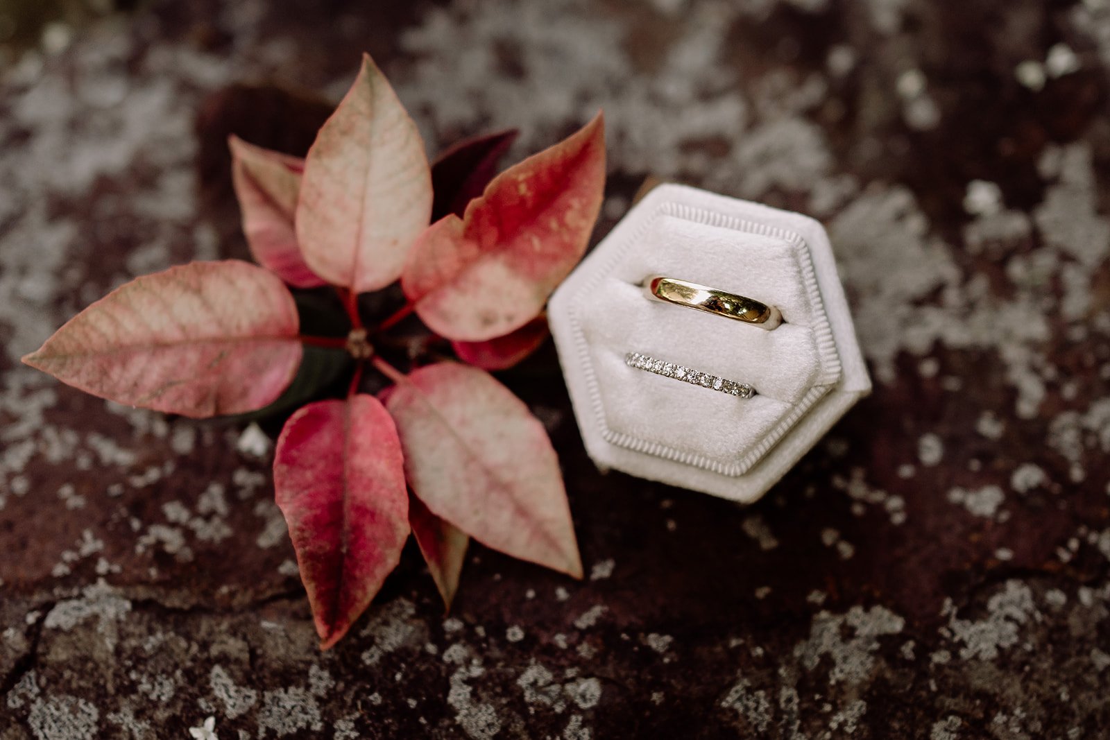 Wedding rings in white hexagon box next to pink leaves