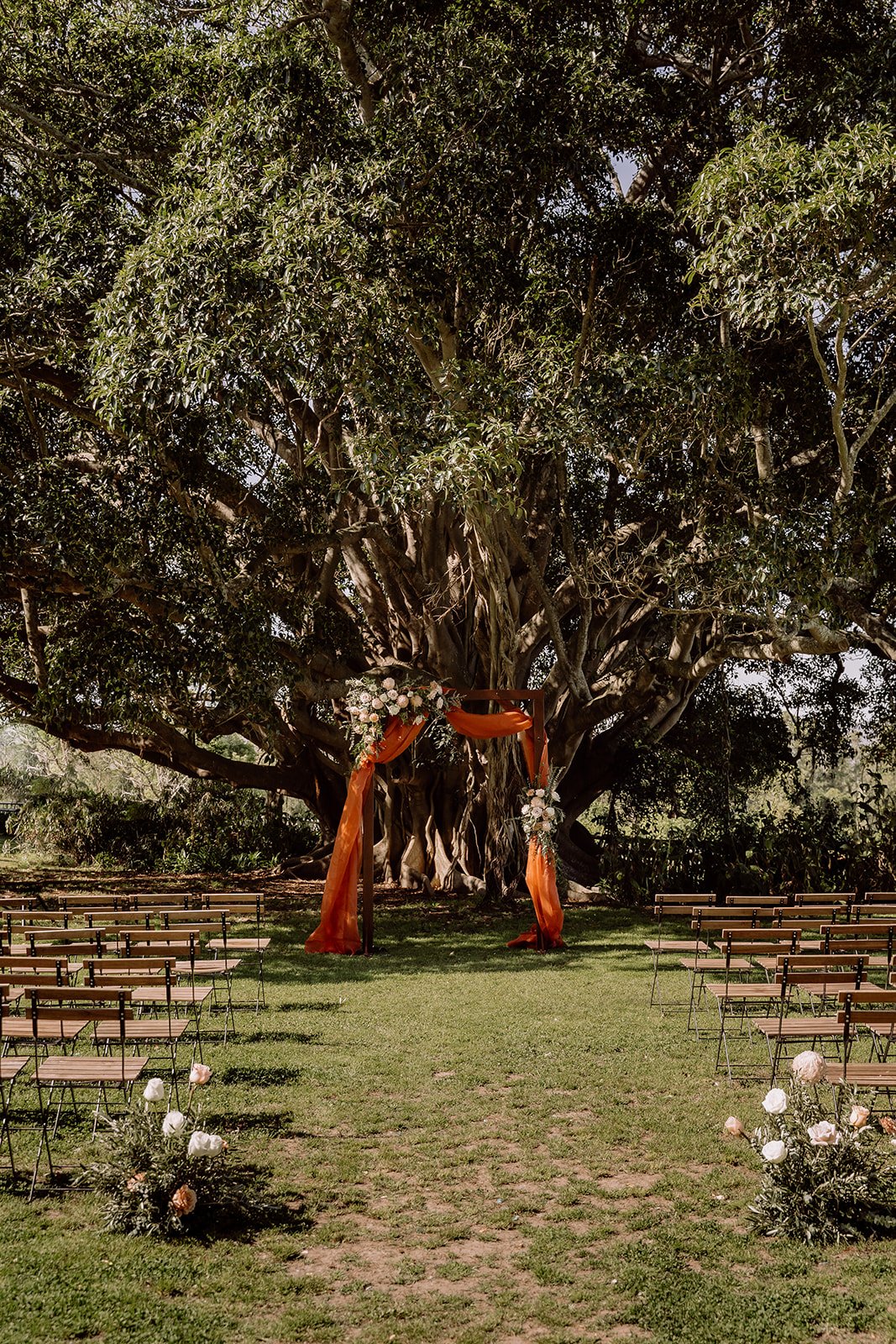 Wedding ceremony under grand fig tree at Tocal Homestead with orange material draped over arbour