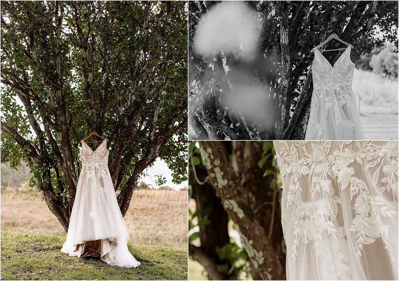 Bridal gown hanging from large tree at Riverwood Downs Barrington Tops