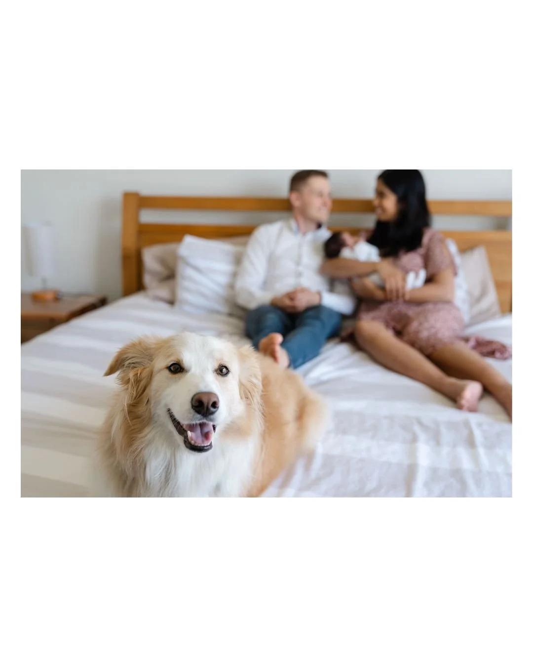 A VERY proud fur baby big sister, Pippa, with her new best friend, baby Sophia.

Even though this newborn session was for little Sophia, I'm pretty sure Pippa thought it was for her. Every time I held the camera up, it was as if she was smiling at me
