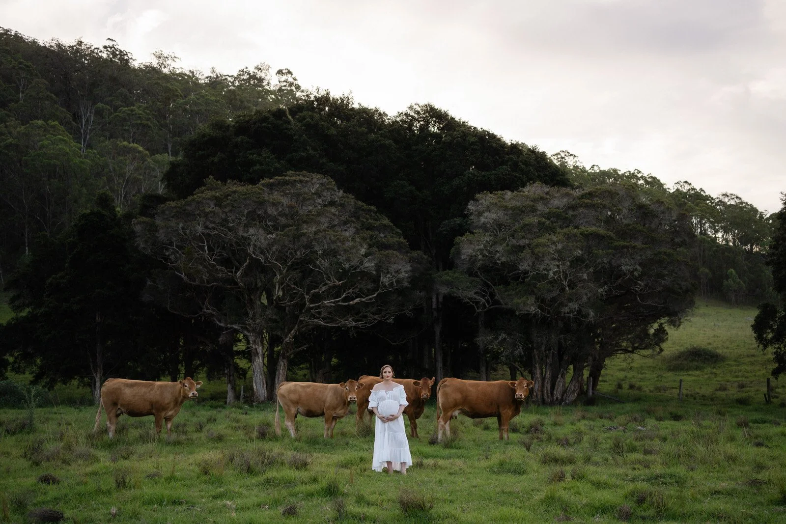 A pregnant woman in a white dress standing in a grassy field with four brown cows behind her, trees and hills in the background under an overcast sky.