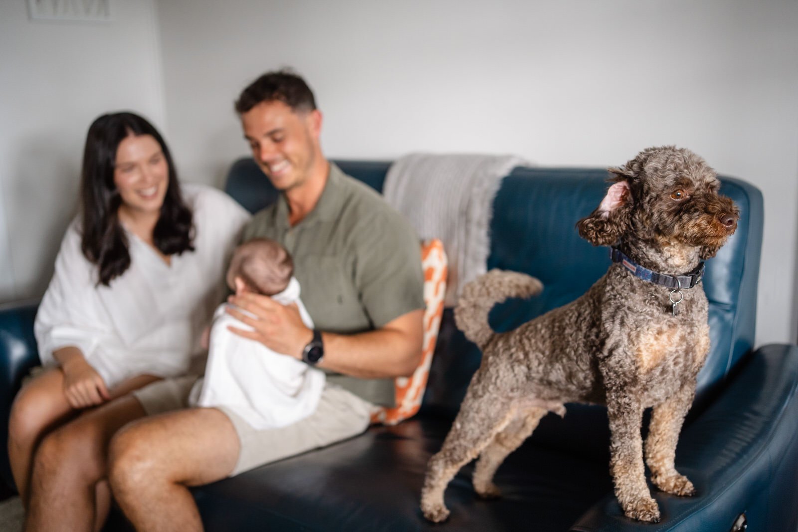 A family sitting on a couch, with a dog standing on the couch in front of them, in a living room.