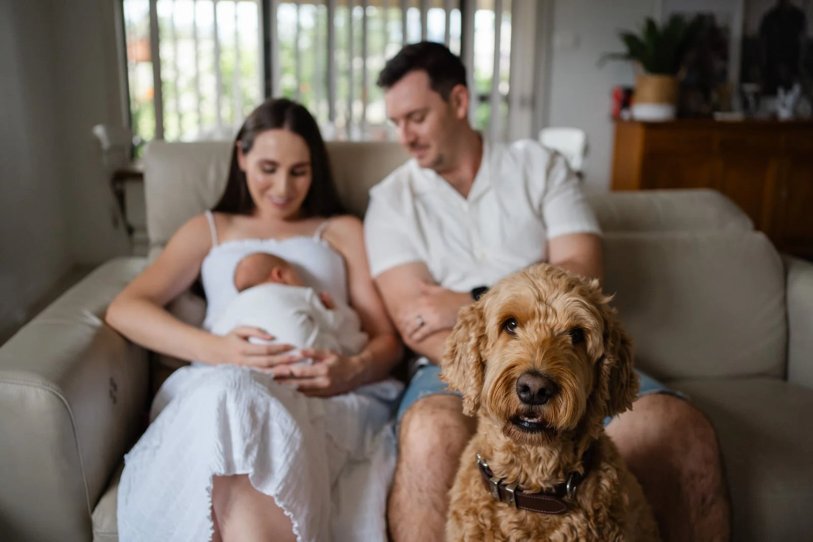 Family of four sitting on a beige couch, with a woman holding a newborn, a man sitting beside her, and a brown dog in front looking at the camera. The scene is in a well-lit living room with large windows.