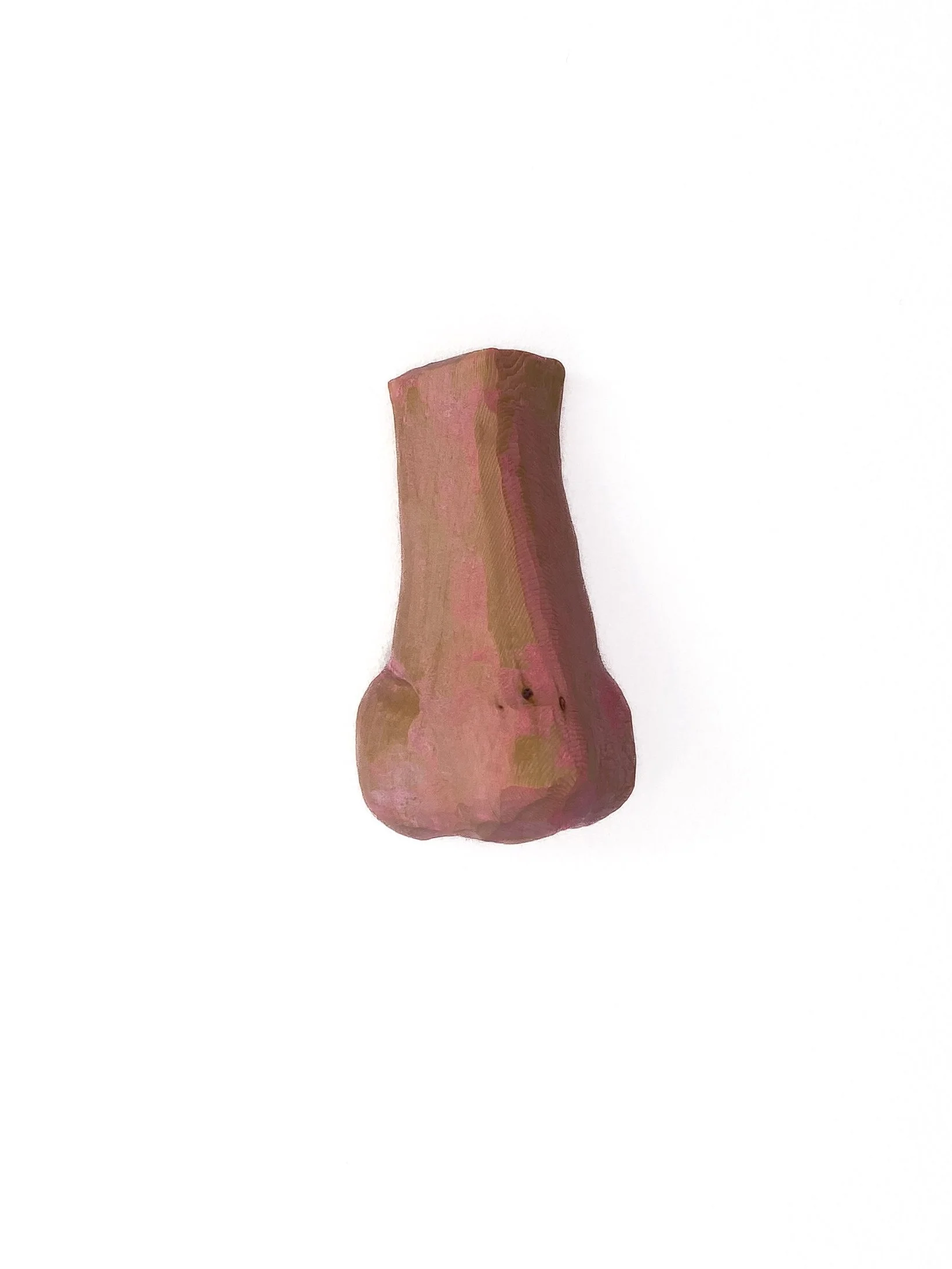 76. Votive Nose | FRAGMENTS OF HEALING