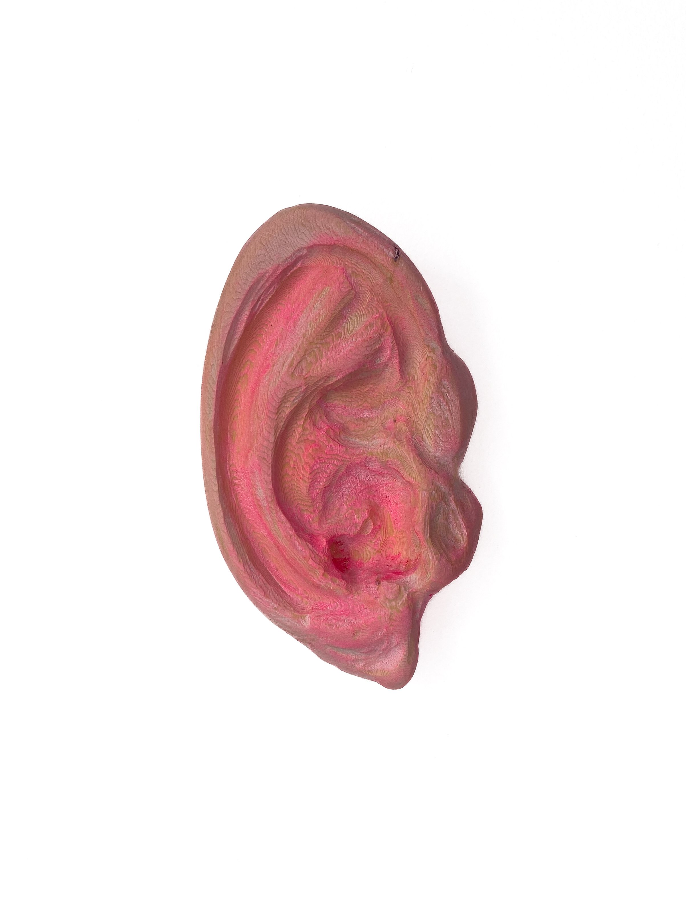 80. Votive Ear | FRAGMENTS OF HEALING
