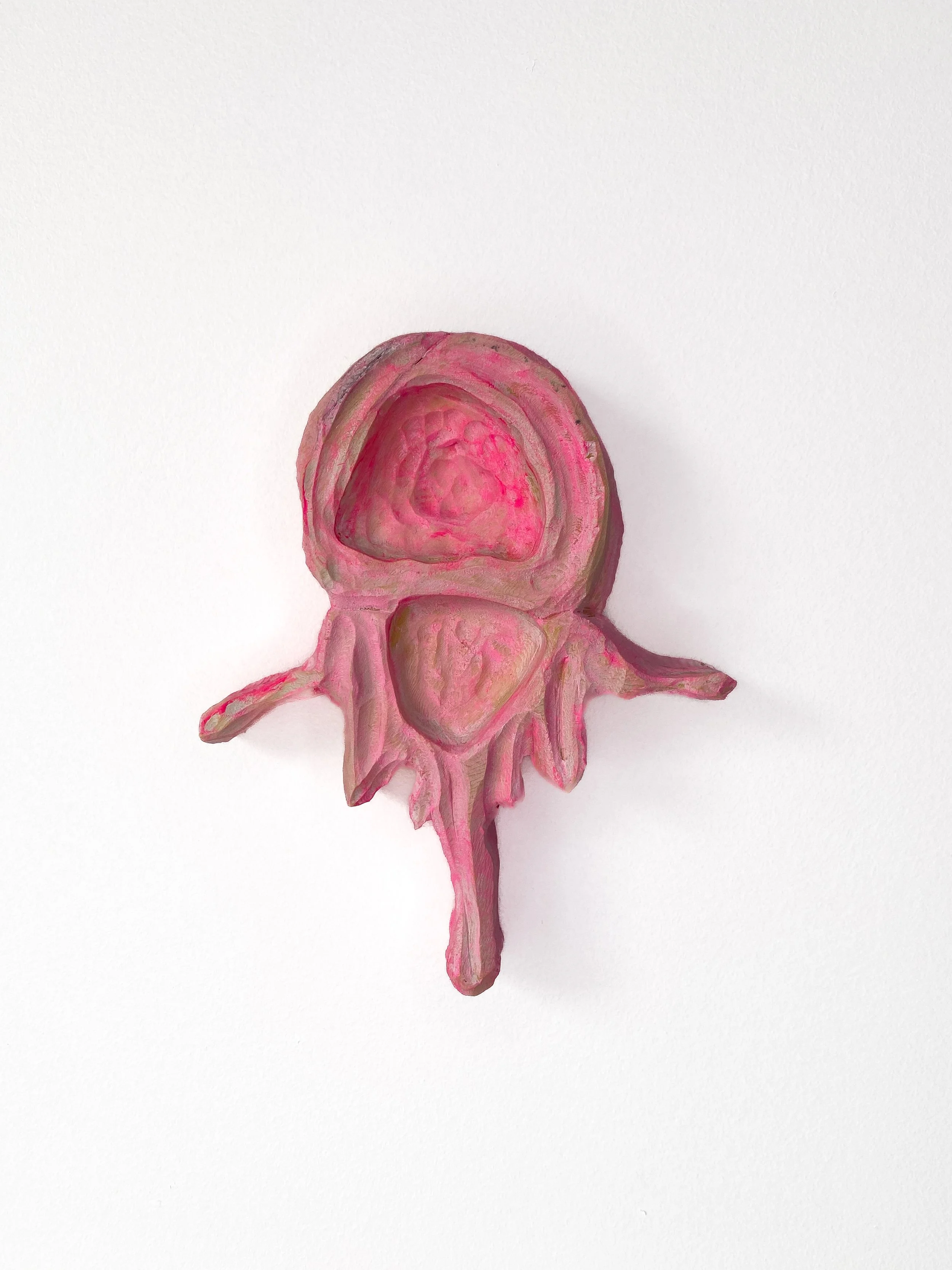 79. Votive Vertebrae | FRAGMENTS OF HEALING