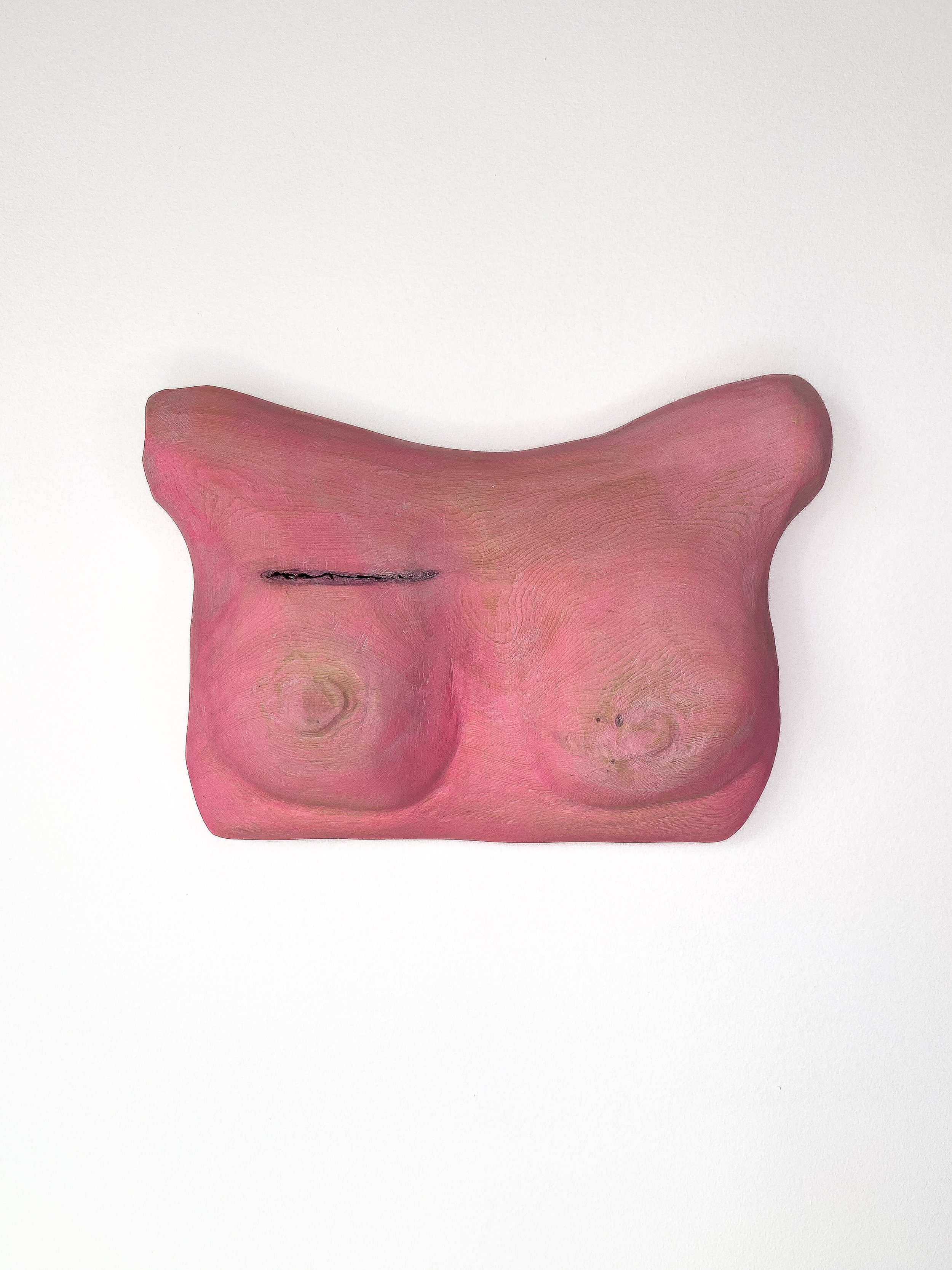 56 VOTIVE BREASTS 6.jpg