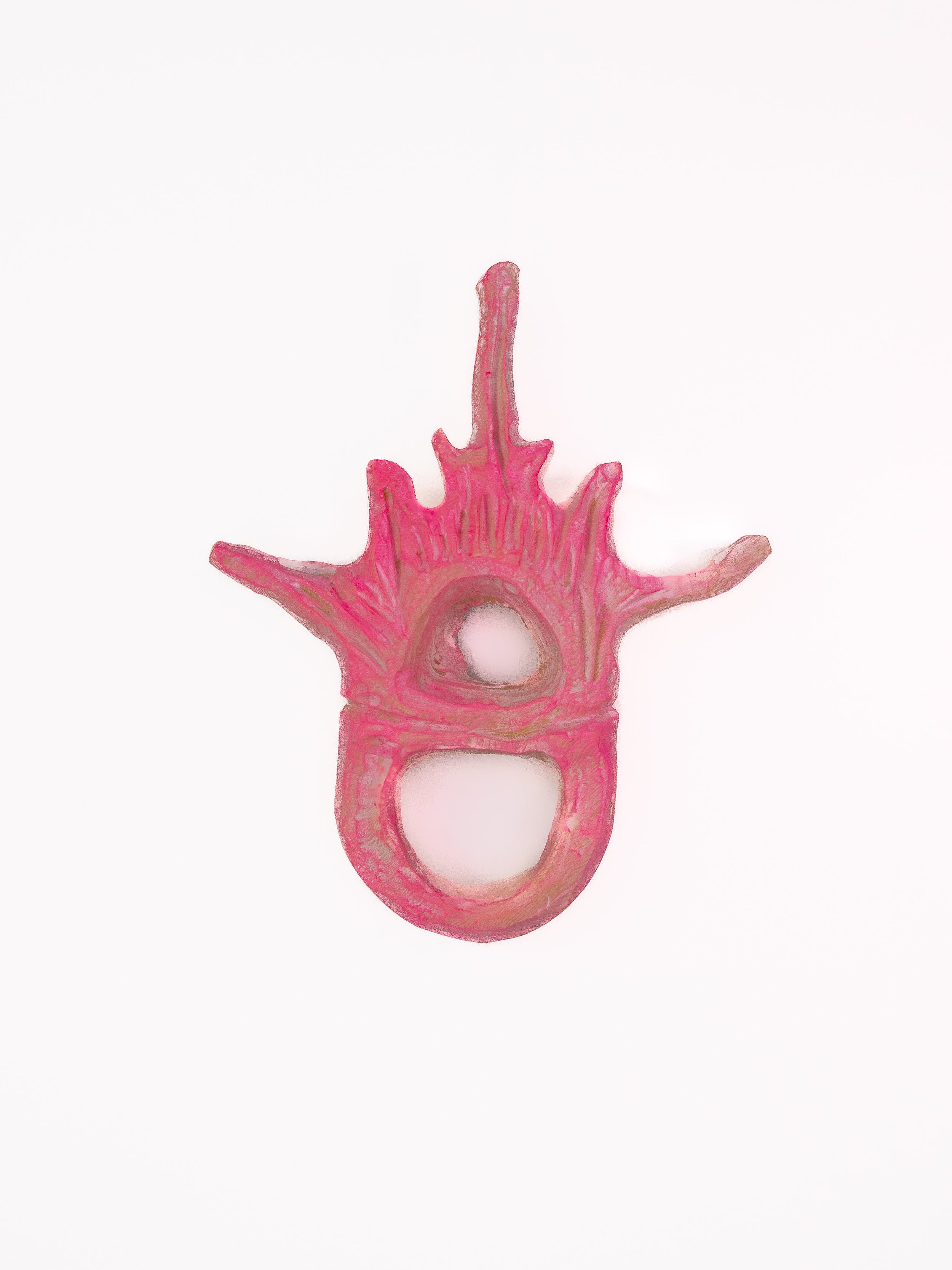 70. Votive Vertebrae | FRAGMENTS OF HEALING