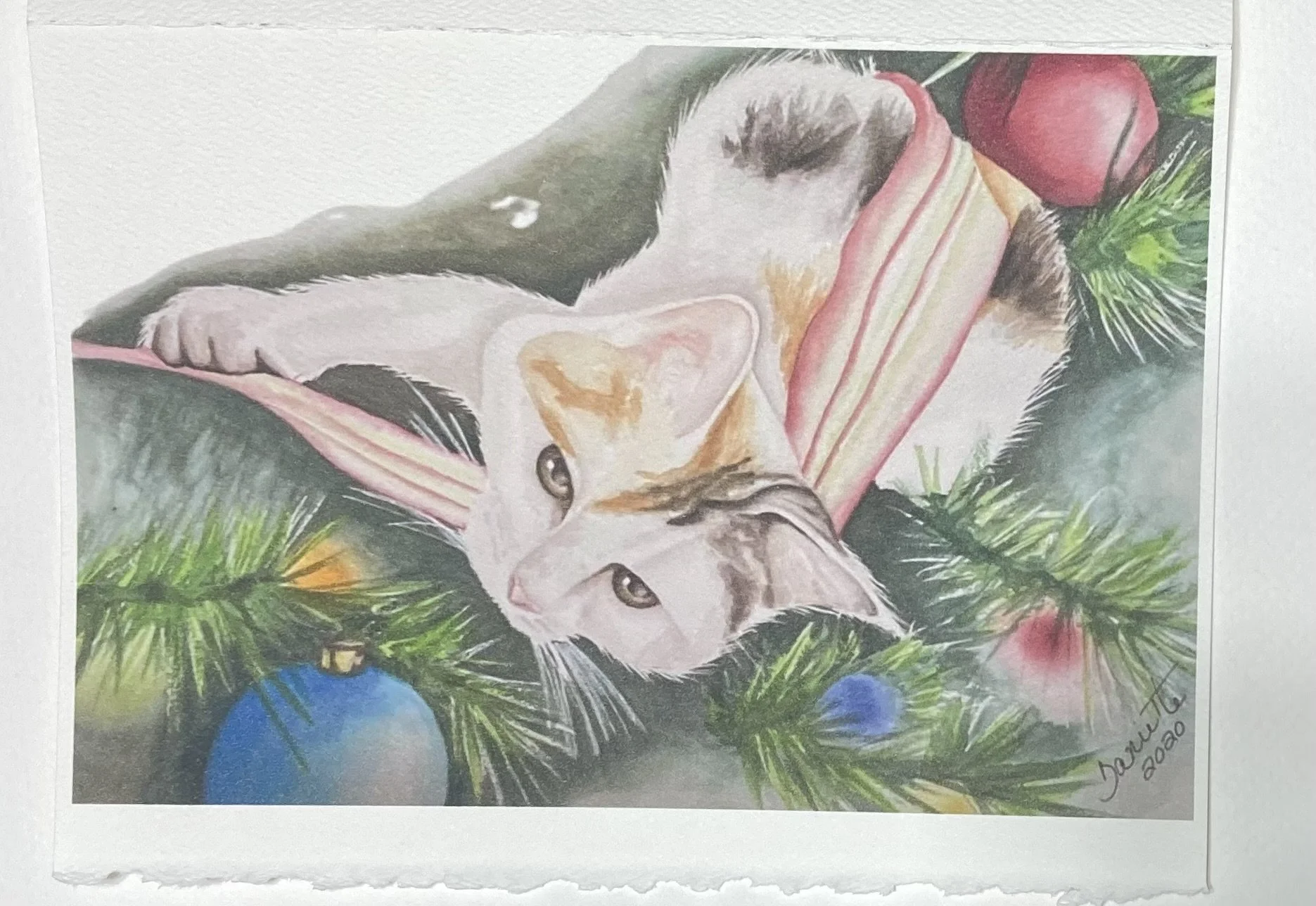 Chat de Noël