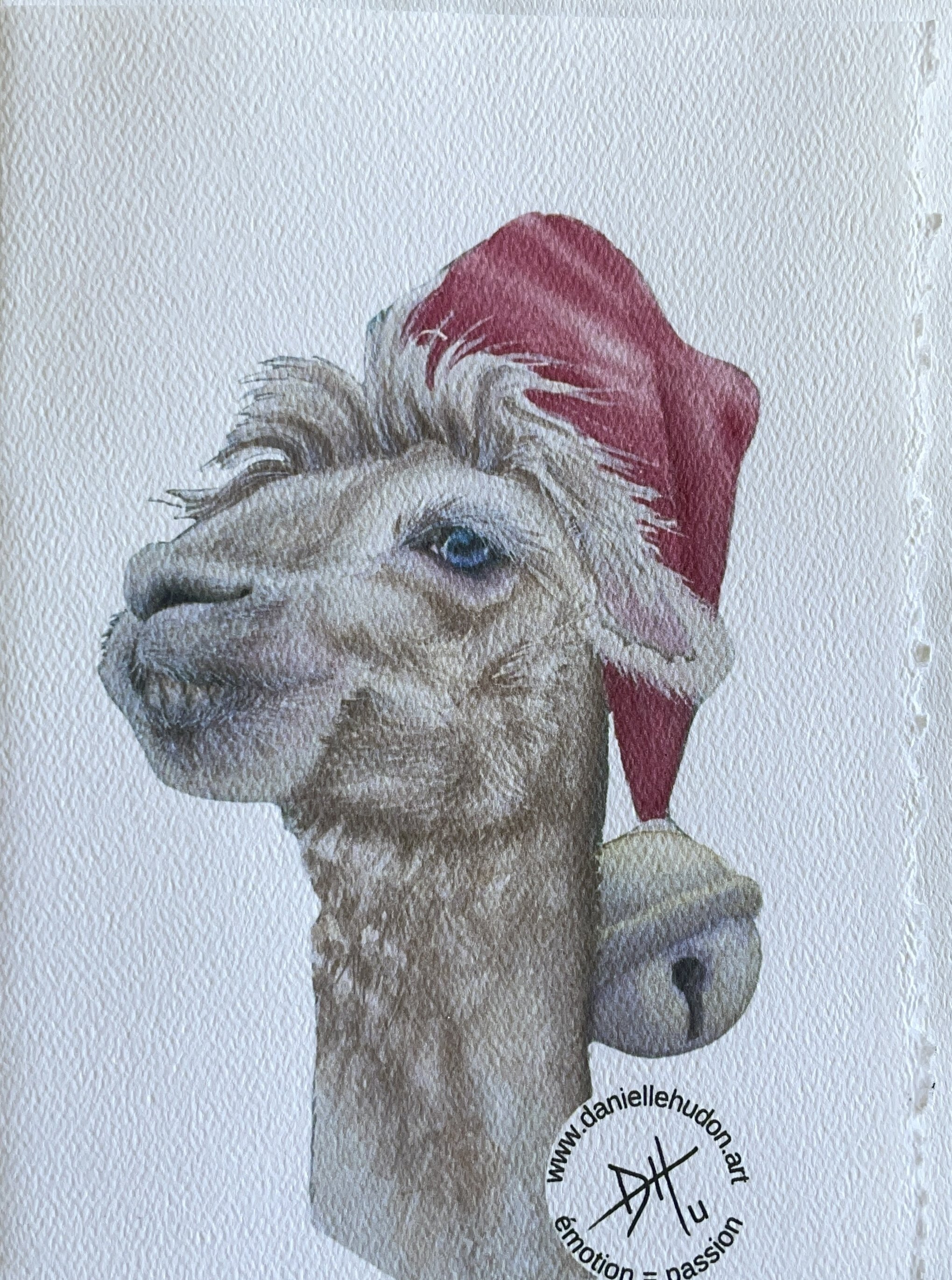 Alpaga Noël