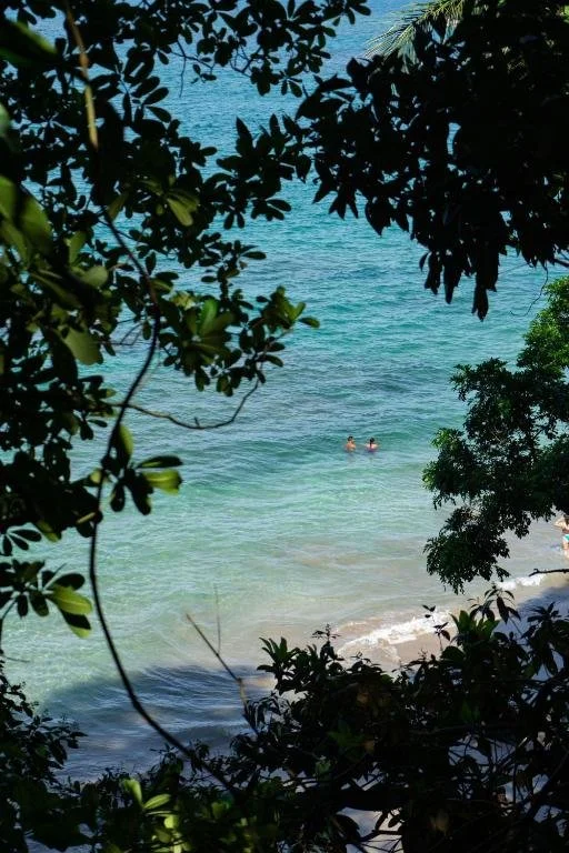 Caribbean Sea surrounded by tropical jungle near the Embodied Voice Breathwork training in Costa Rica
