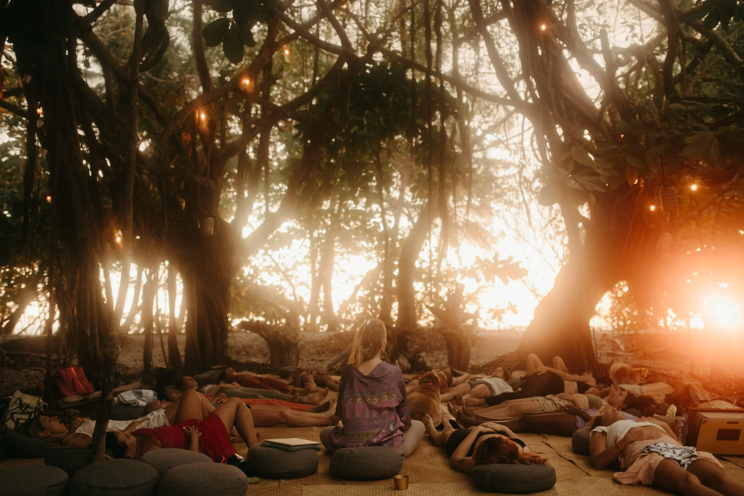 From Healing to Leadership: How Breathwork Training Transforms Your Life