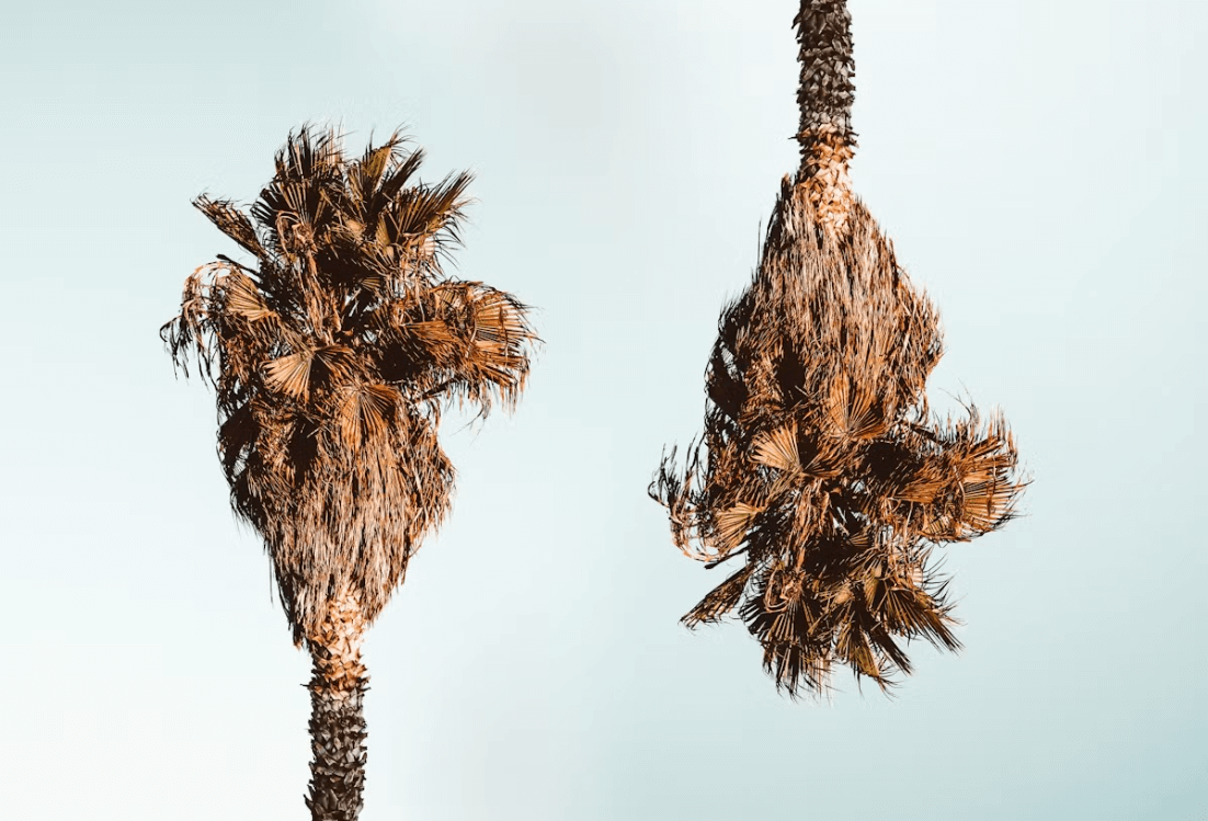 Different Perspectives in Relationships & How to Navigate Them