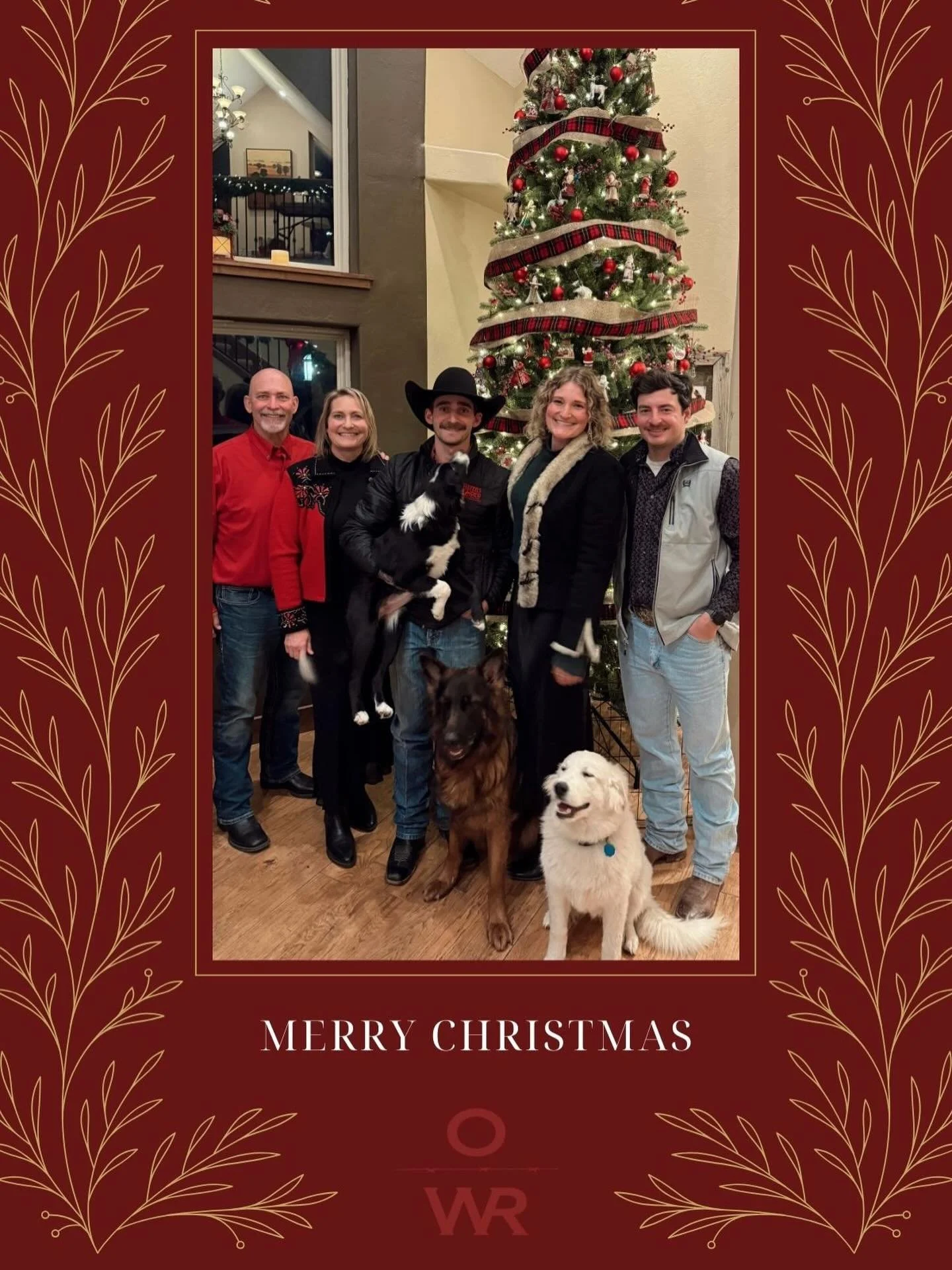 Merry Christmas from OWR! 🎄