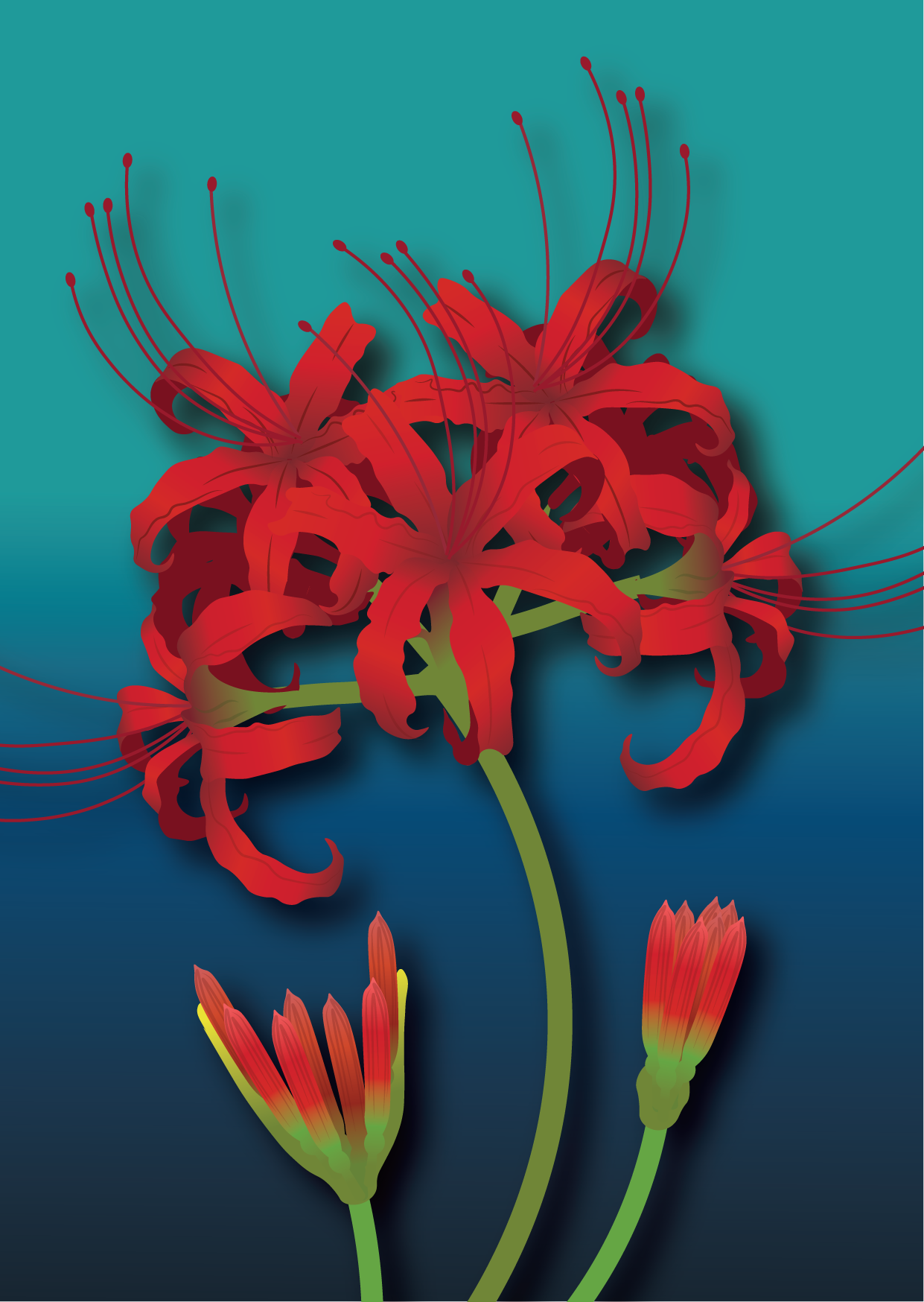 PostCard-02.png