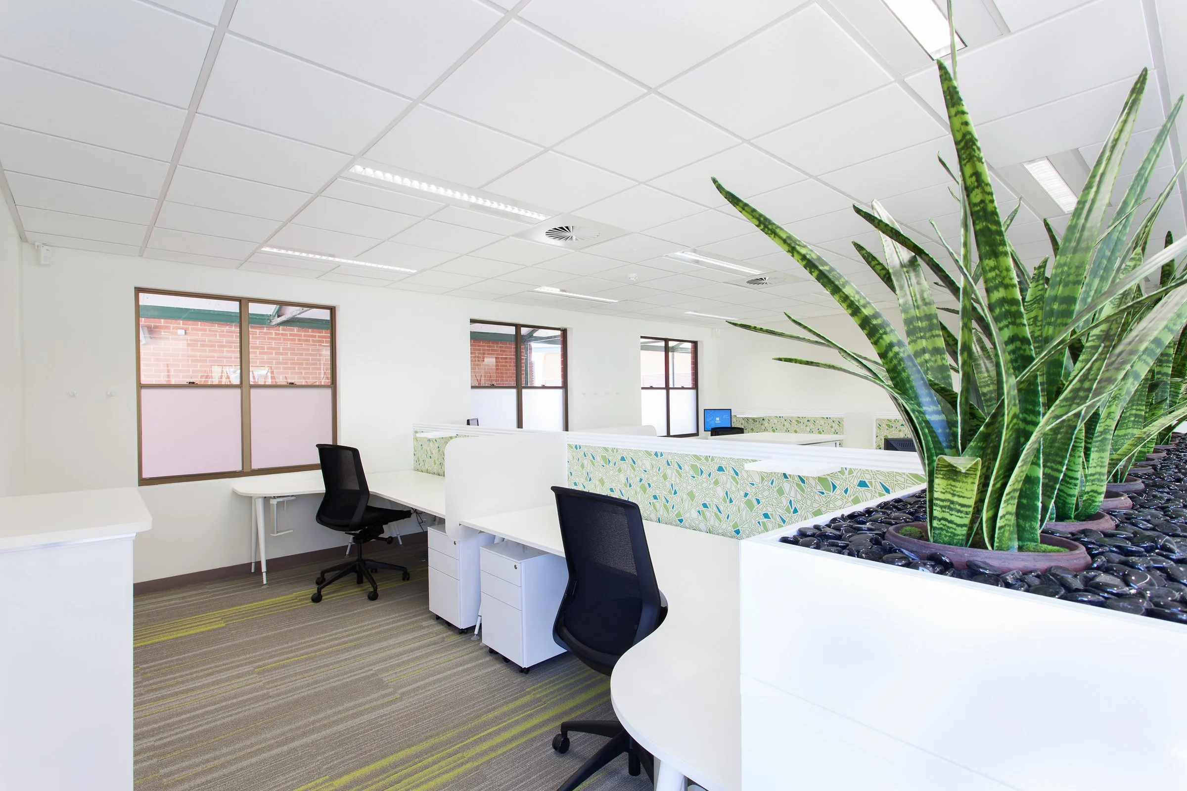 Open plan healthcare workspace with desks and natural light
