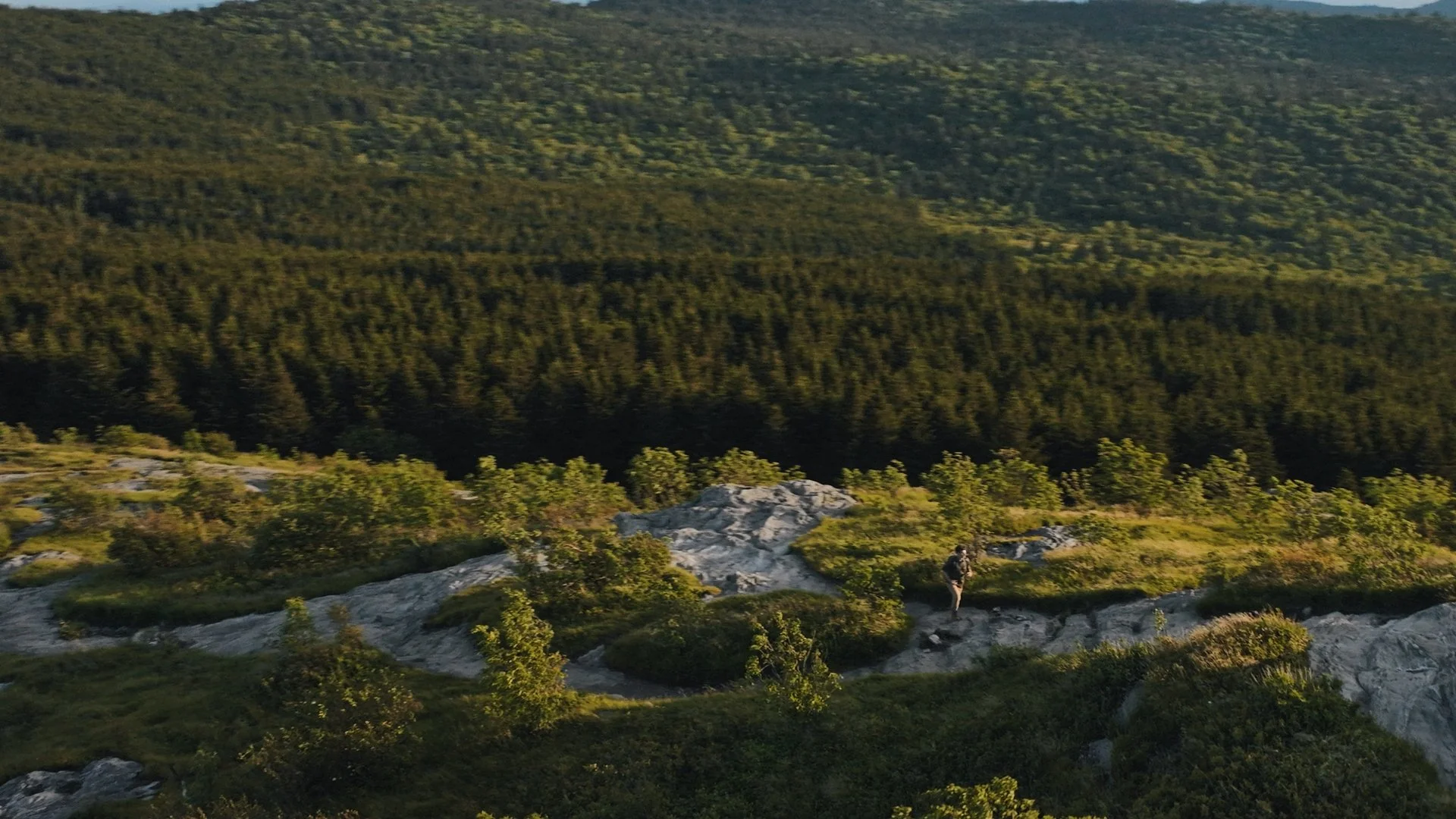 Visit Haywood / Commercial / 1st AC