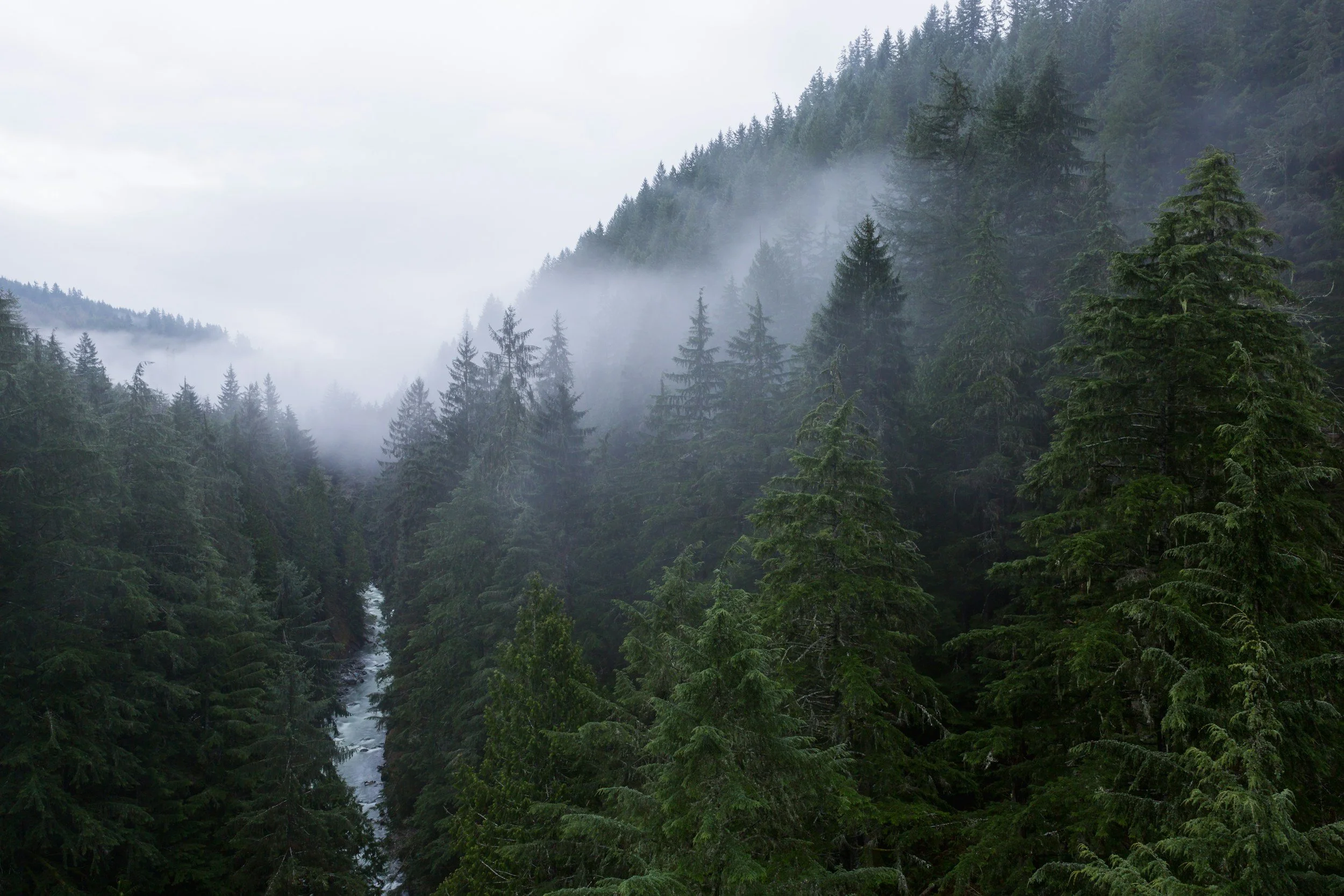 Aerial view of Chilliwack river valley with misty mountains and forests