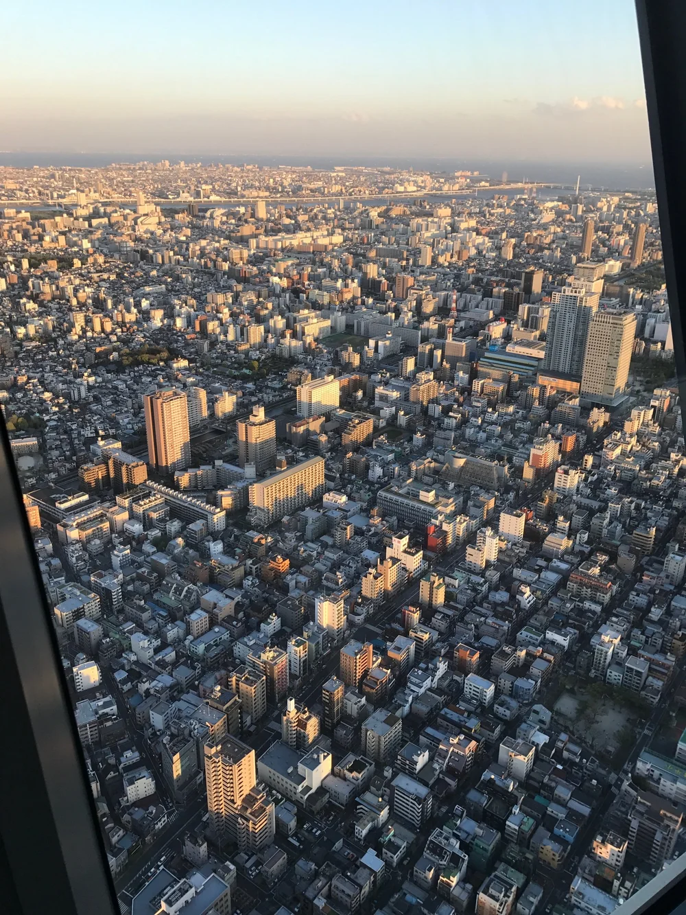 IMG_3291.jpeg