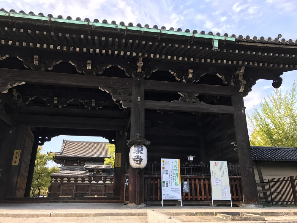 IMG_3707.jpeg