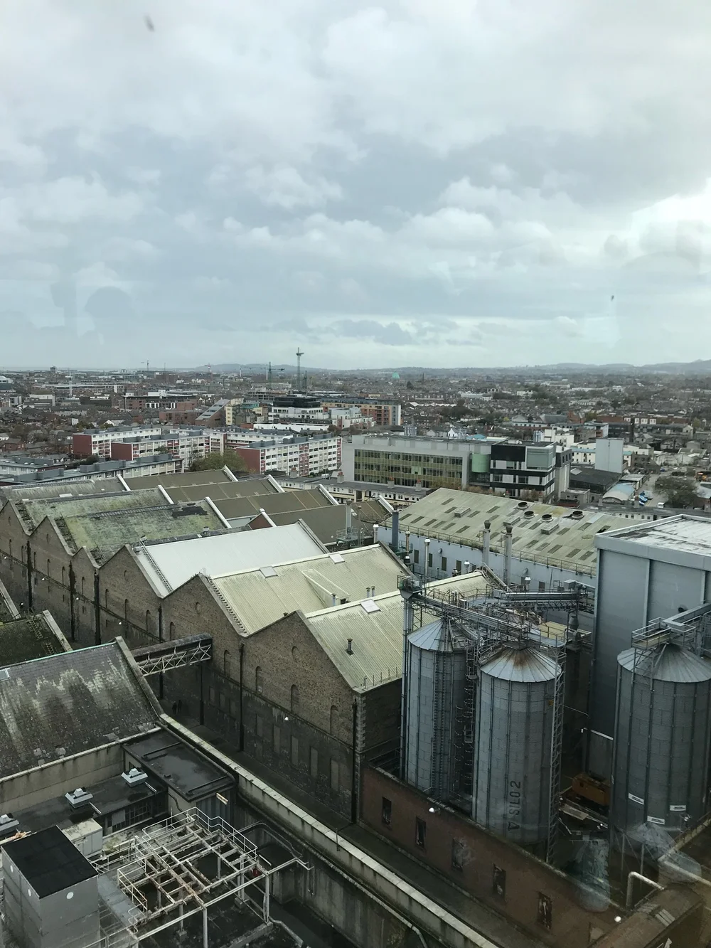 IMG_5139.jpeg
