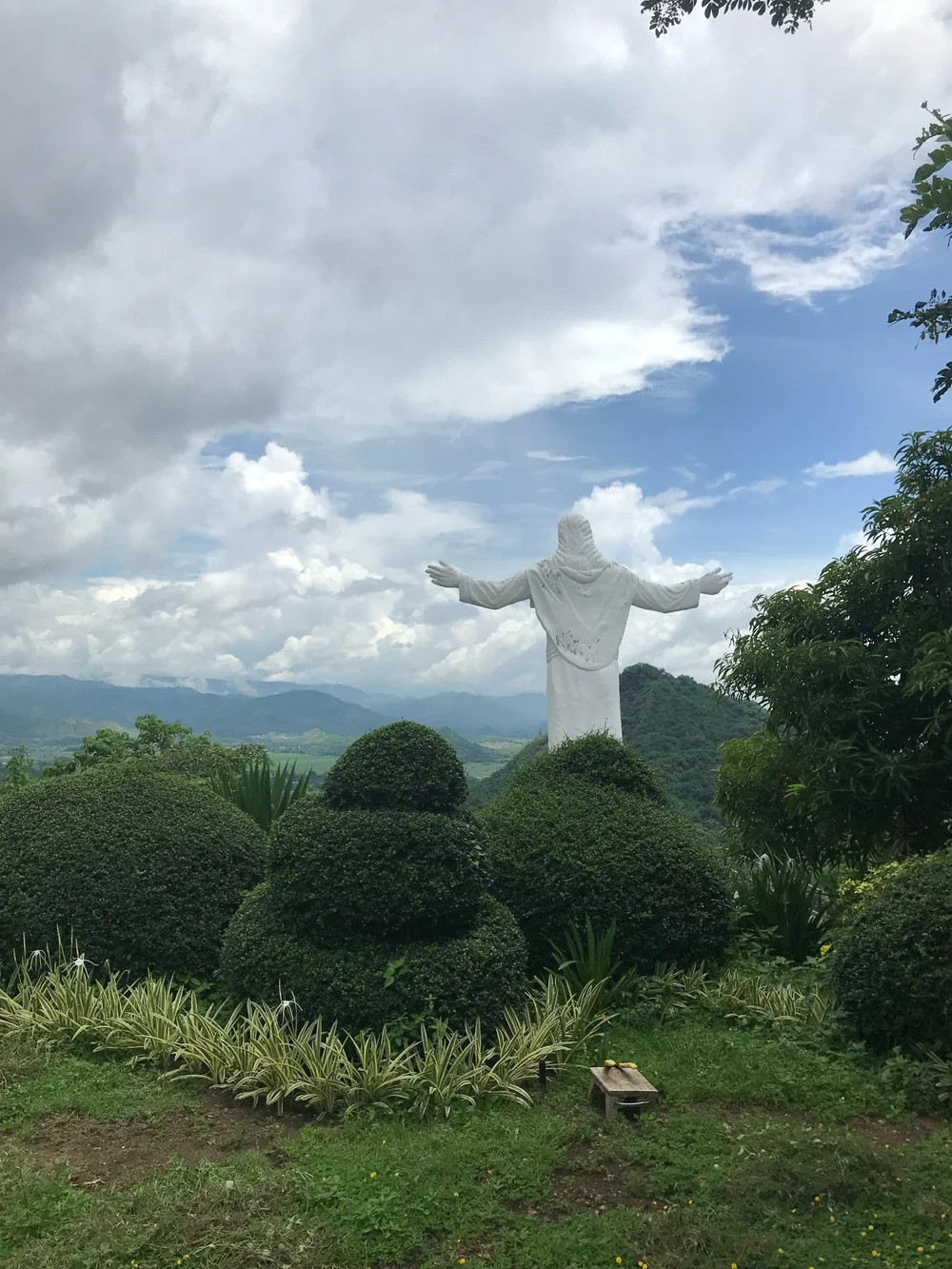IMG_7373.jpeg