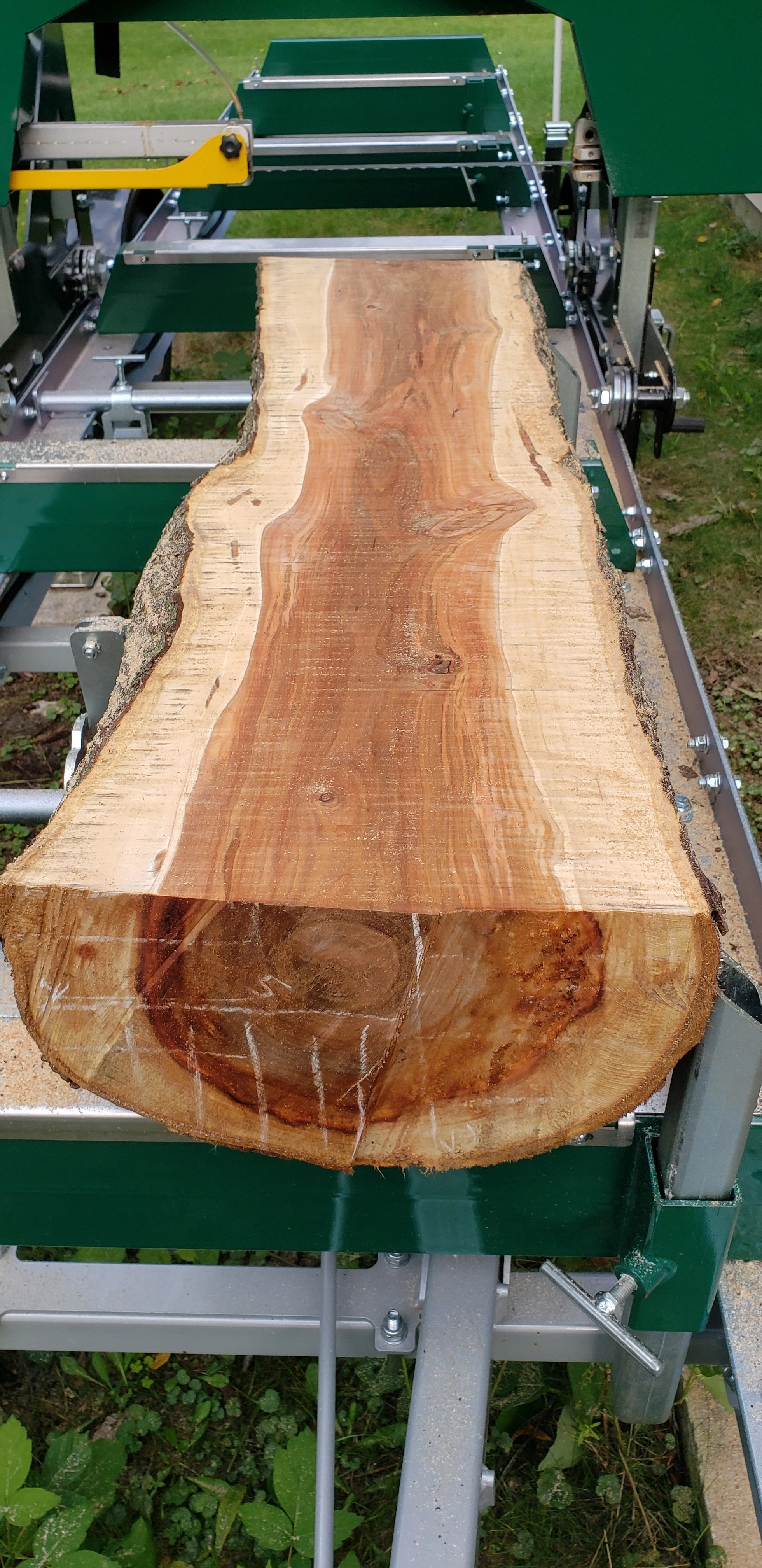 20220926 Apple Log.jpg