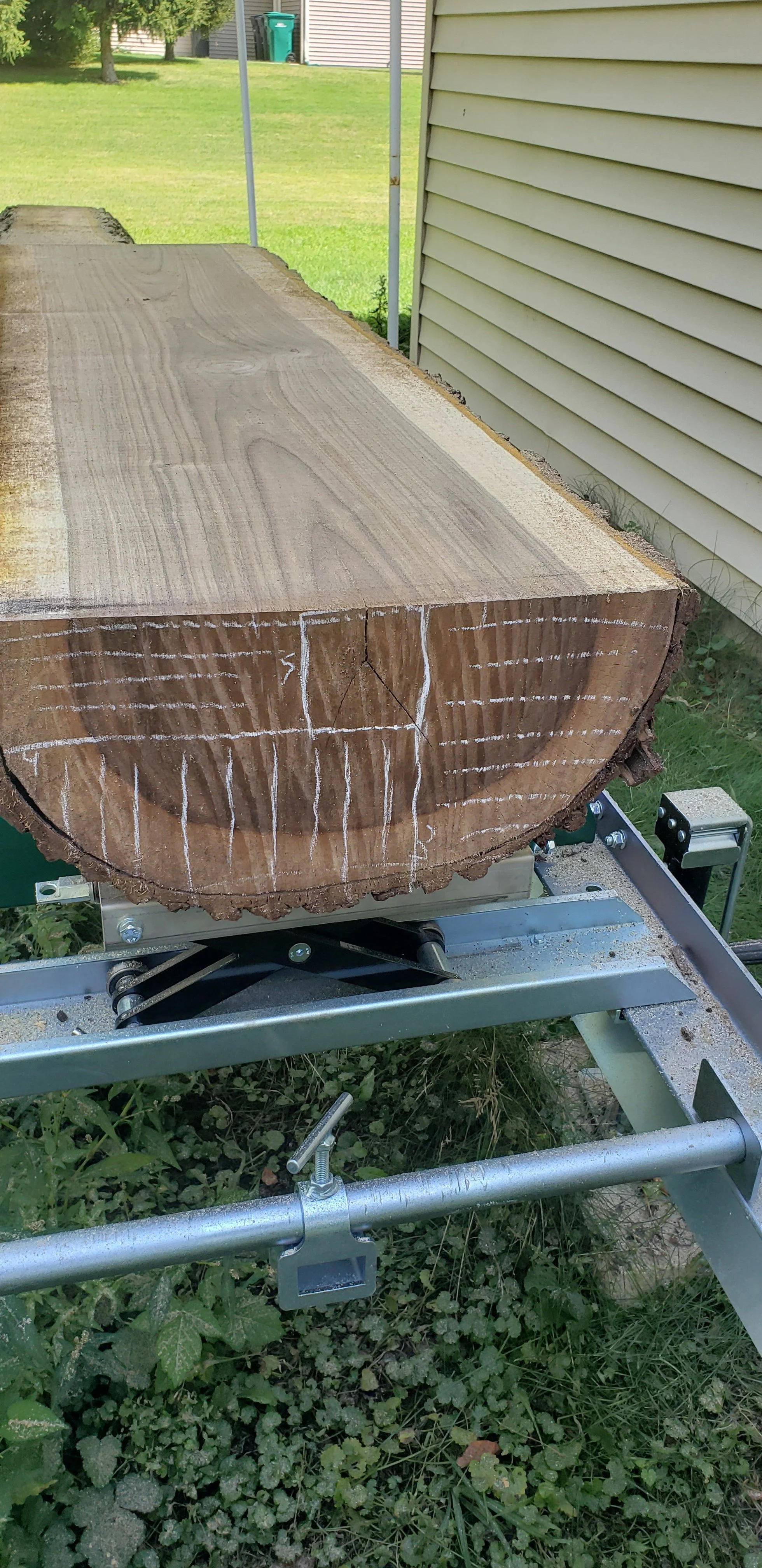 20220902 Walnut on Mill.jpg