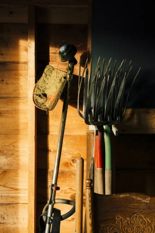 2018_01_16_EdibleNamaste-125 (1).jpeg