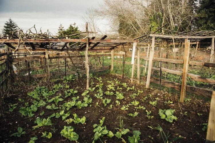 2018_01_16_EdibleNamaste-18 (1).jpeg