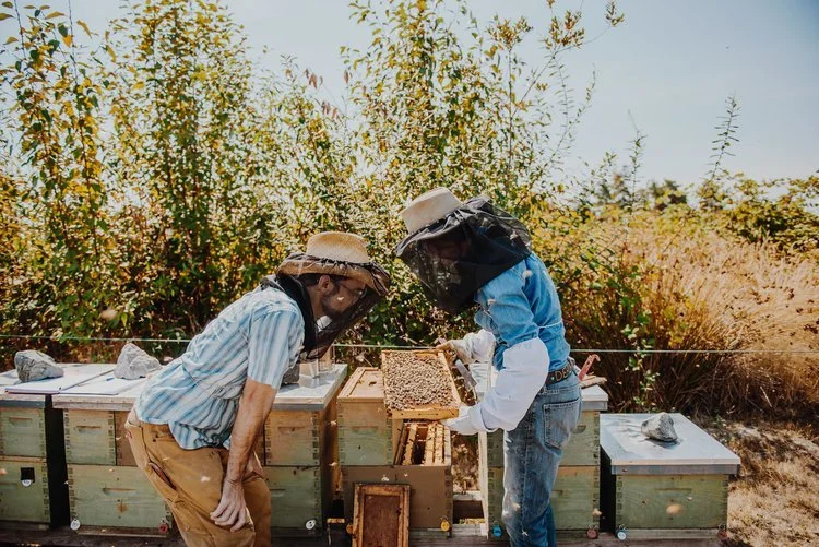 2018_08_29_SeaTacBees-143 (1).jpeg