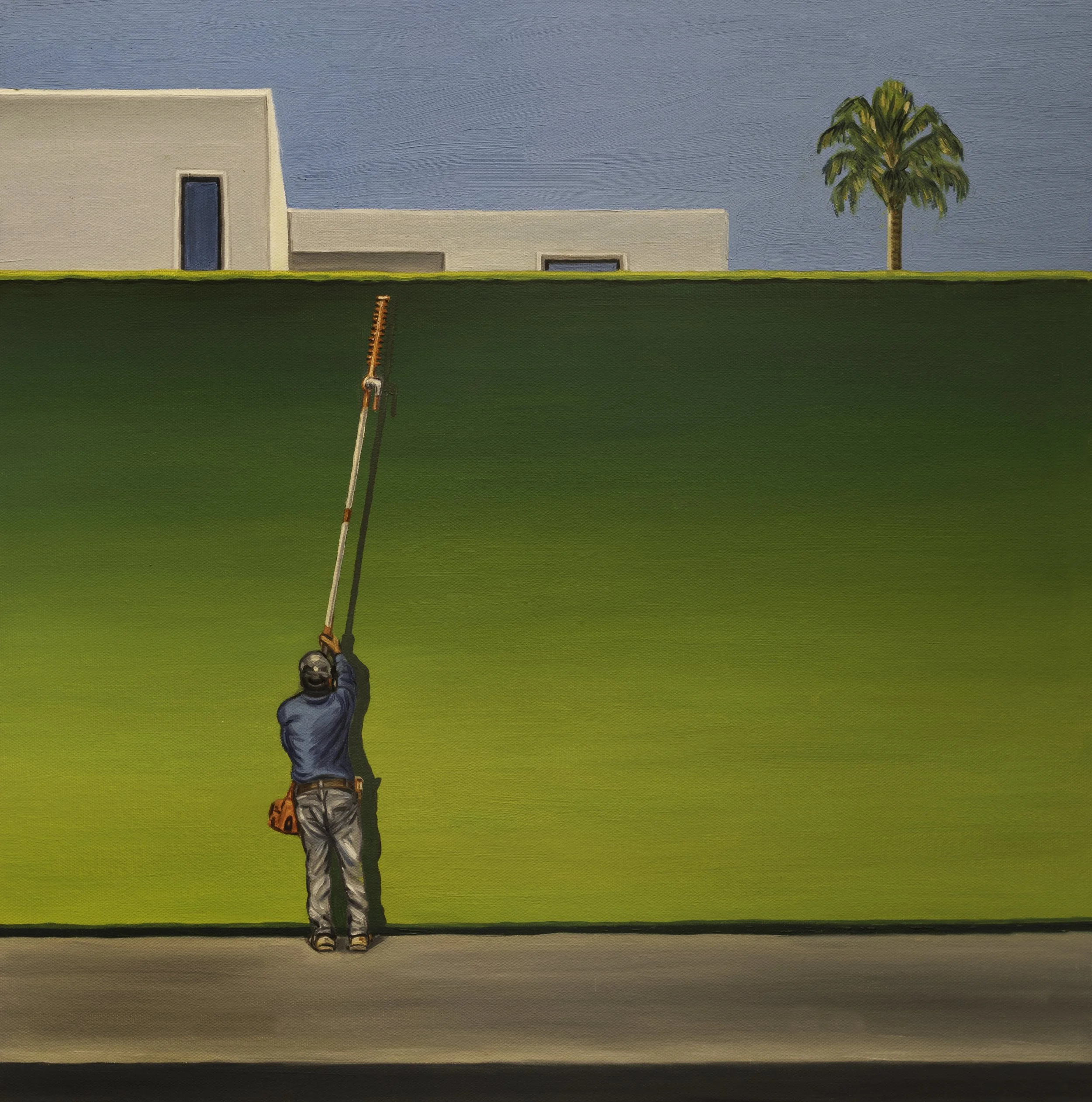 Hedge Trimmer 4