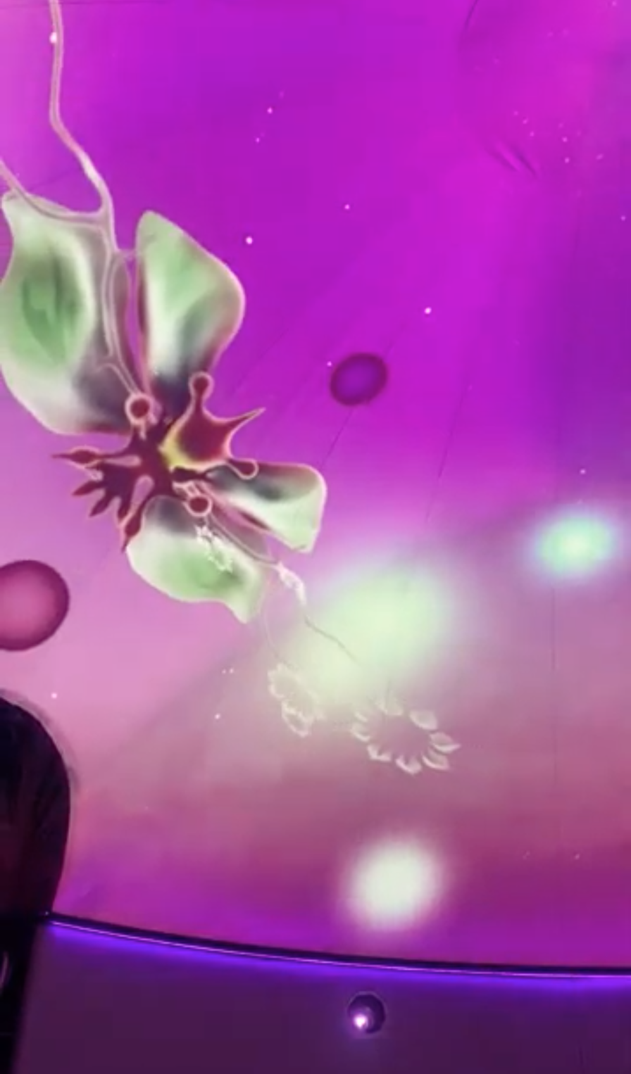 Within Orbit. Immersive Visualization Spatialized Audio Collab., Sensorium Health, 2026. North Vancouver