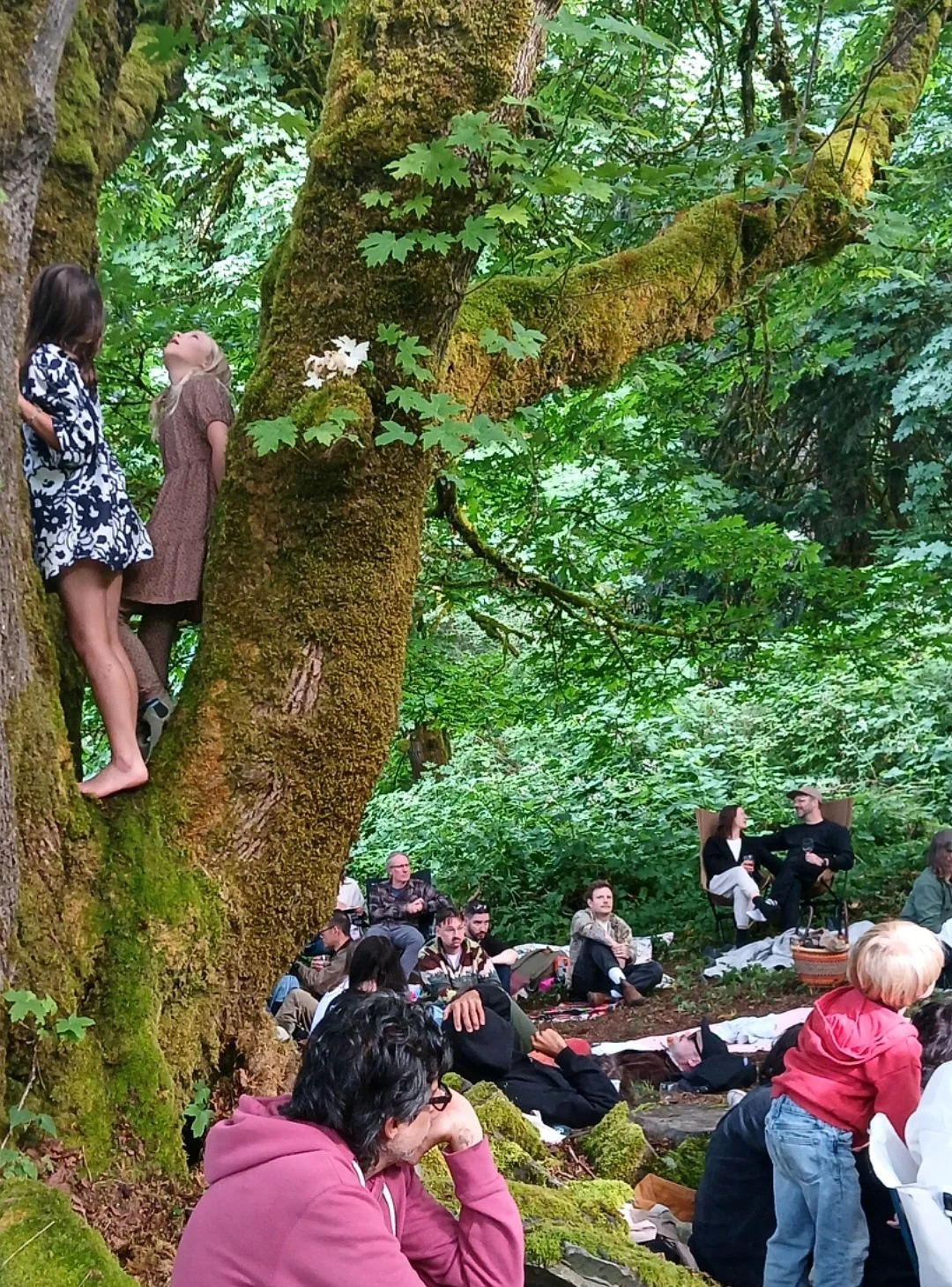 Hotham Sound Recordings Festival
