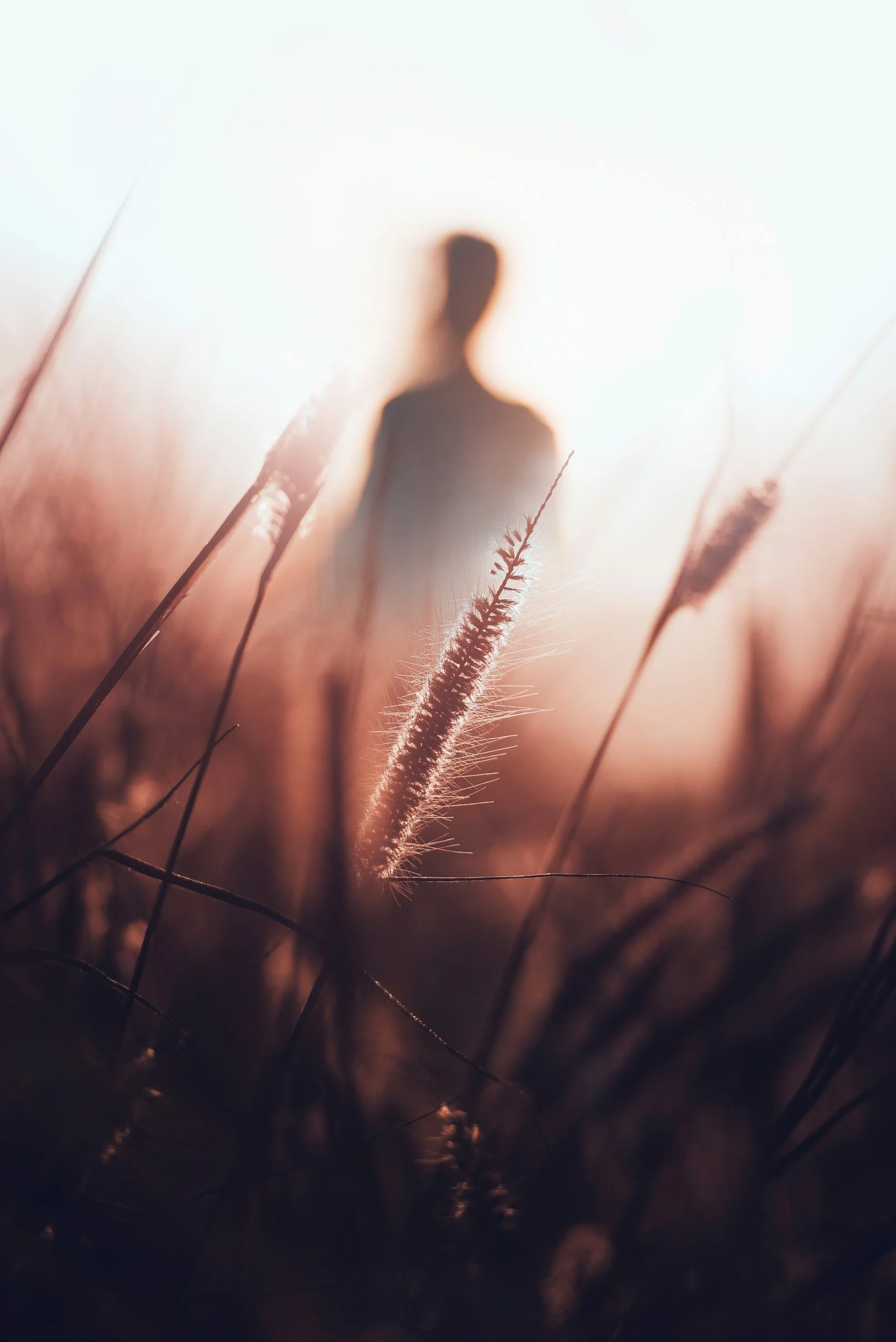 image of a field with man or woman or nonbinary person not in focus representing the struggle of feeling connected to oneself and in relationships with others before starting online therapy in California