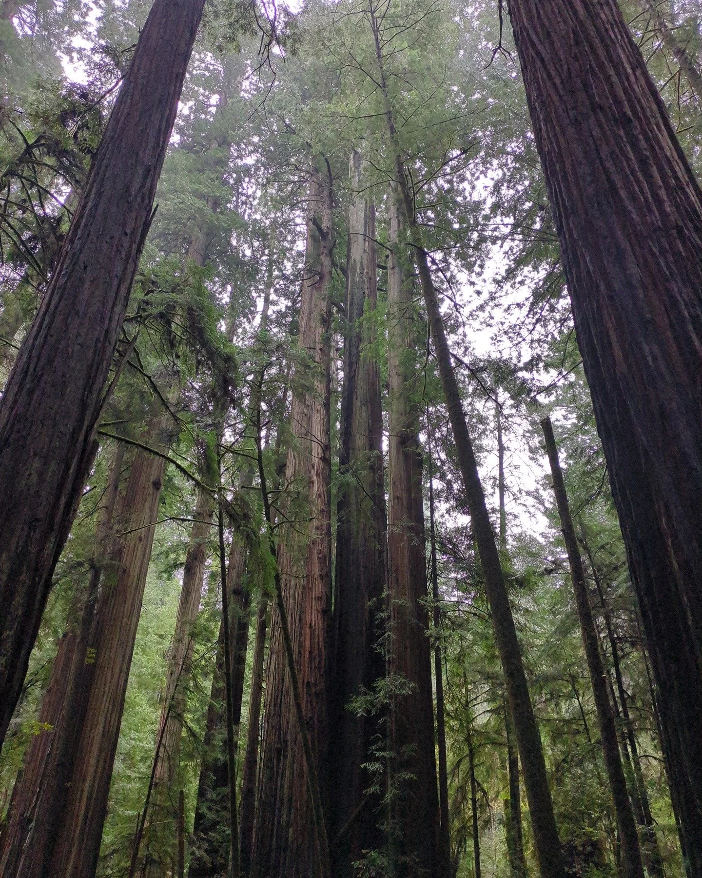 We'll gather and practice our grounding, relating and listening skills this evening at 5:30 in my Authentic Relating class. 

Address: 810 W 3rd Ave, Eugene, OR 97402 

This every 4th Monday practice is by donation that goes to @sacred_connections_81