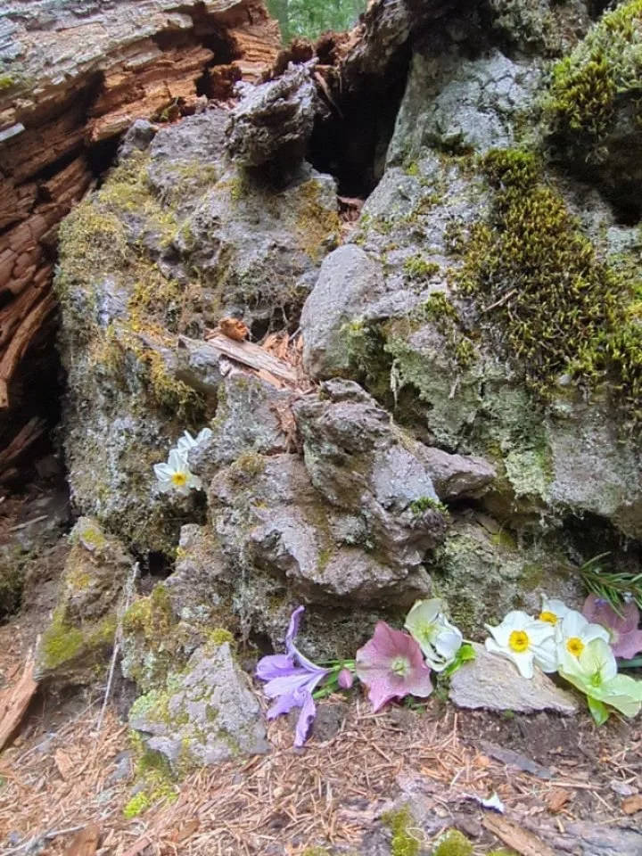 Twas nice to give a gift to Nature and build a literal table to be enjoyed by Fay and humans alike amidst the waterfalls. 

My skillz continue to improve.  I'll be giving a gift each full moon to the Fay henceforth starting with April fools this Wedn