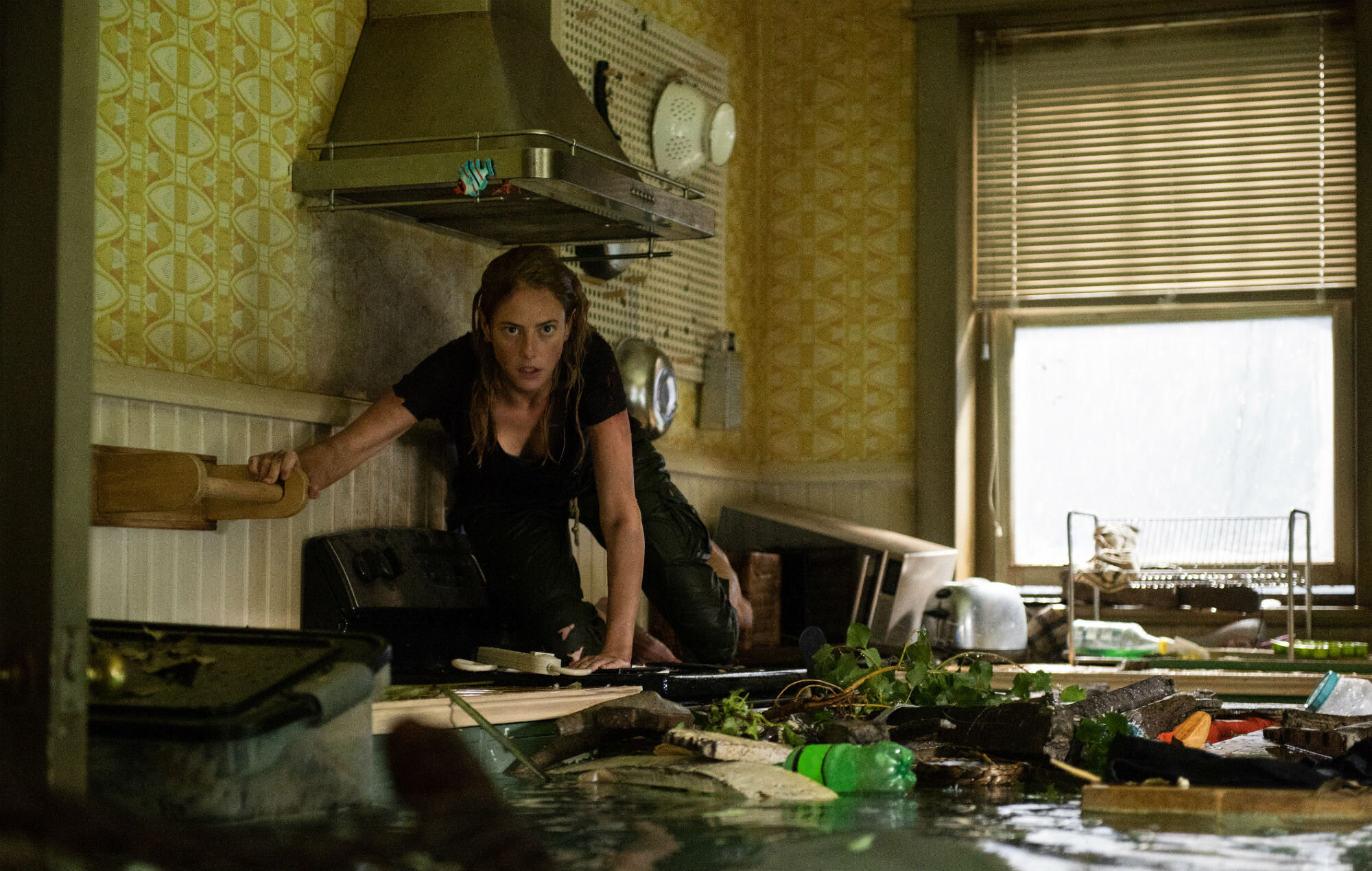 Crawl (2019) Review