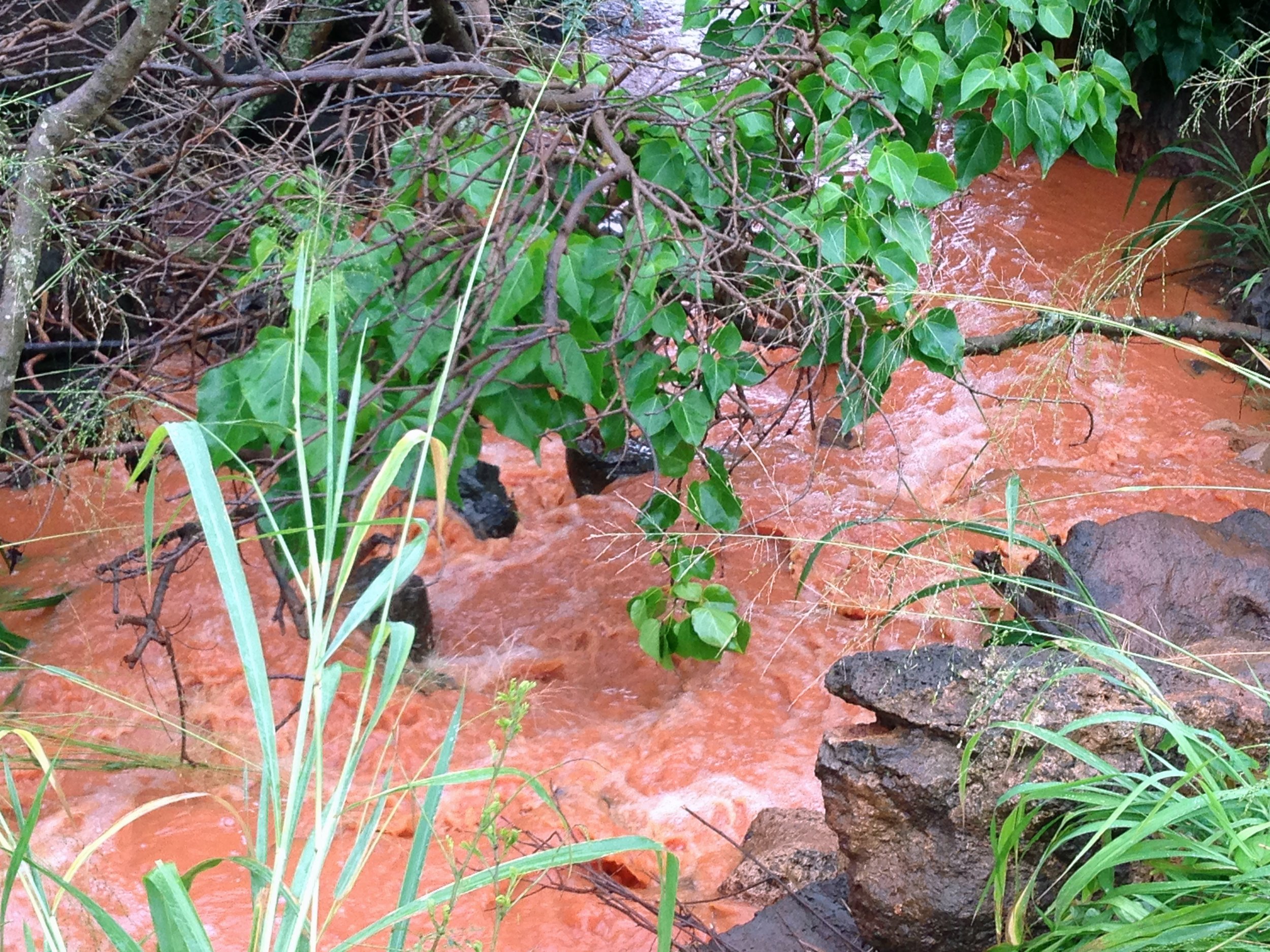 het begin van de rivier kleurt rood door ijzer uit de aarde, na veel regenval. Kauai.
