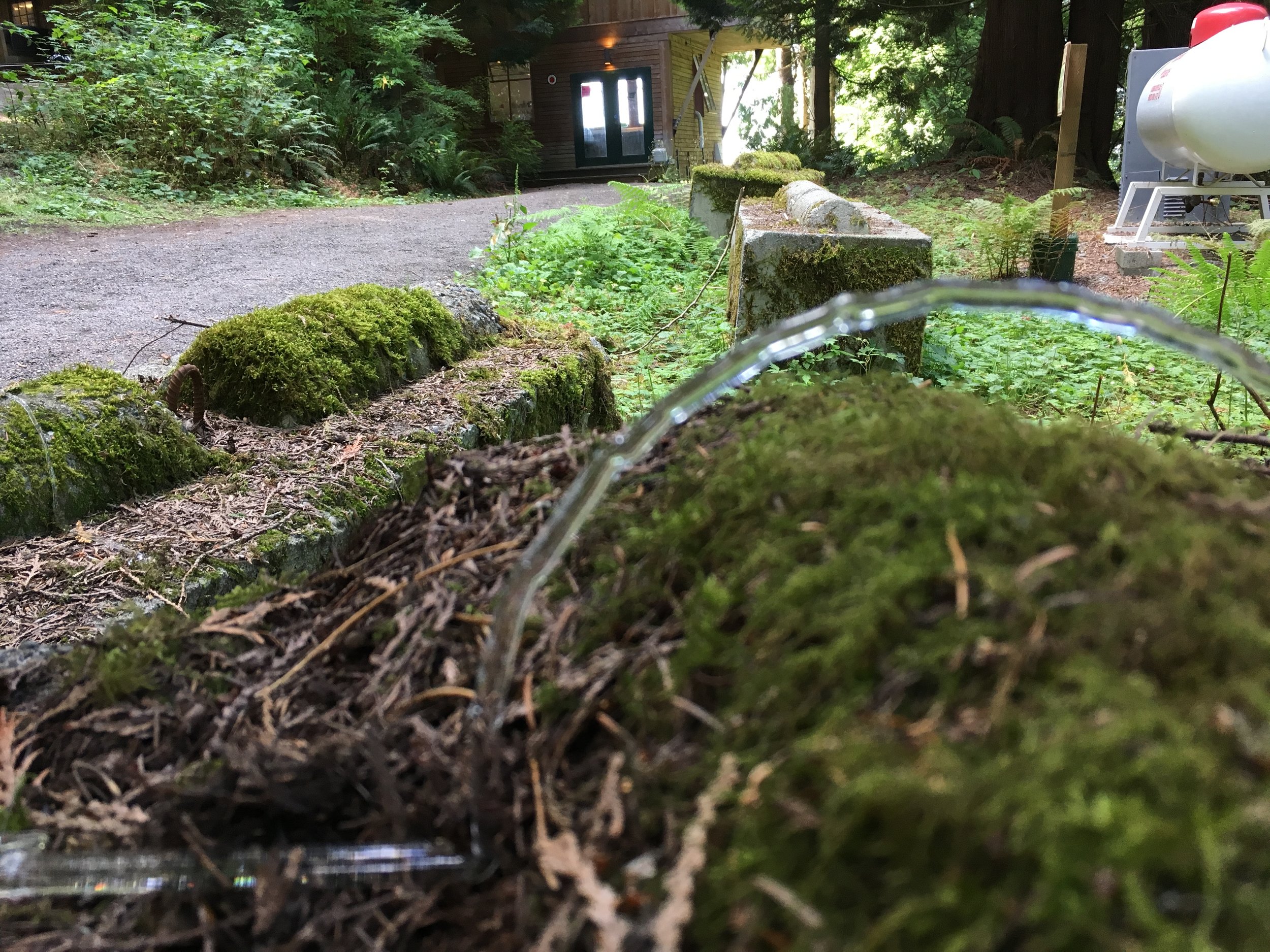 2019-09-06 11.56.06.jpg